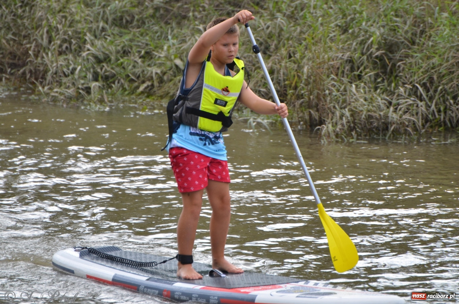 Zdjęcie w galerii na portalu naszraciborz.pl: ODRA SUP CUP - regaty na desce w Raciborzu  wiadomości z regionu