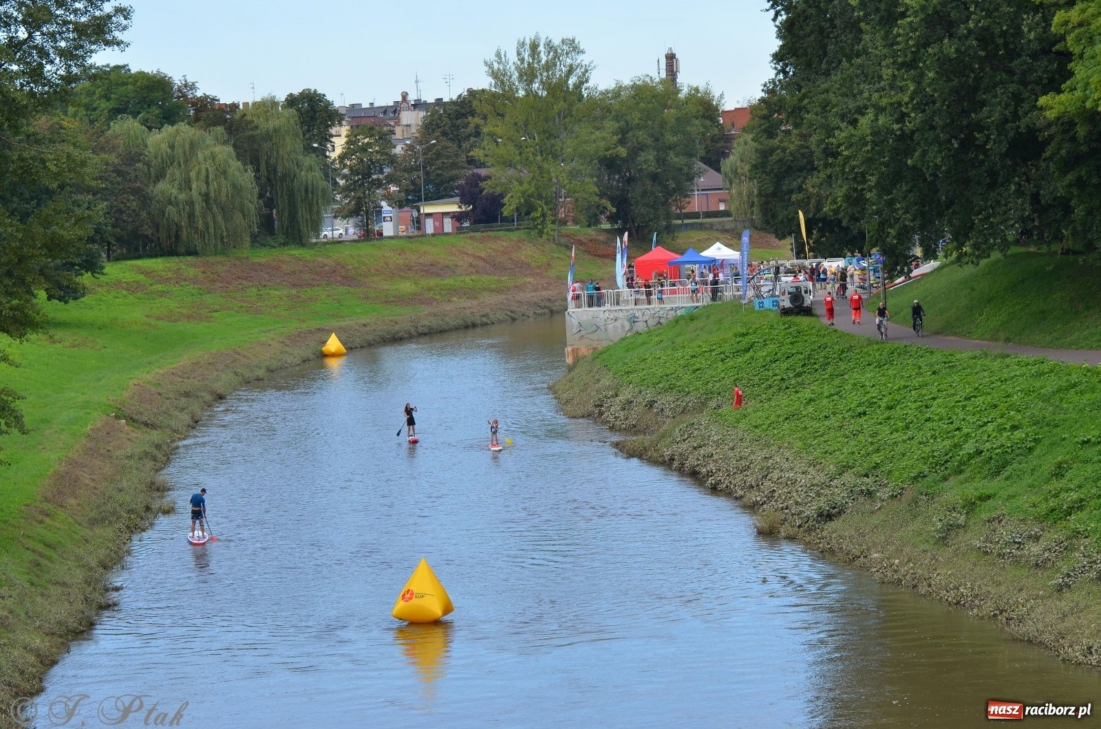 Zdjęcie w galerii na portalu naszraciborz.pl: ODRA SUP CUP - regaty na desce w Raciborzu  wiadomości z regionu