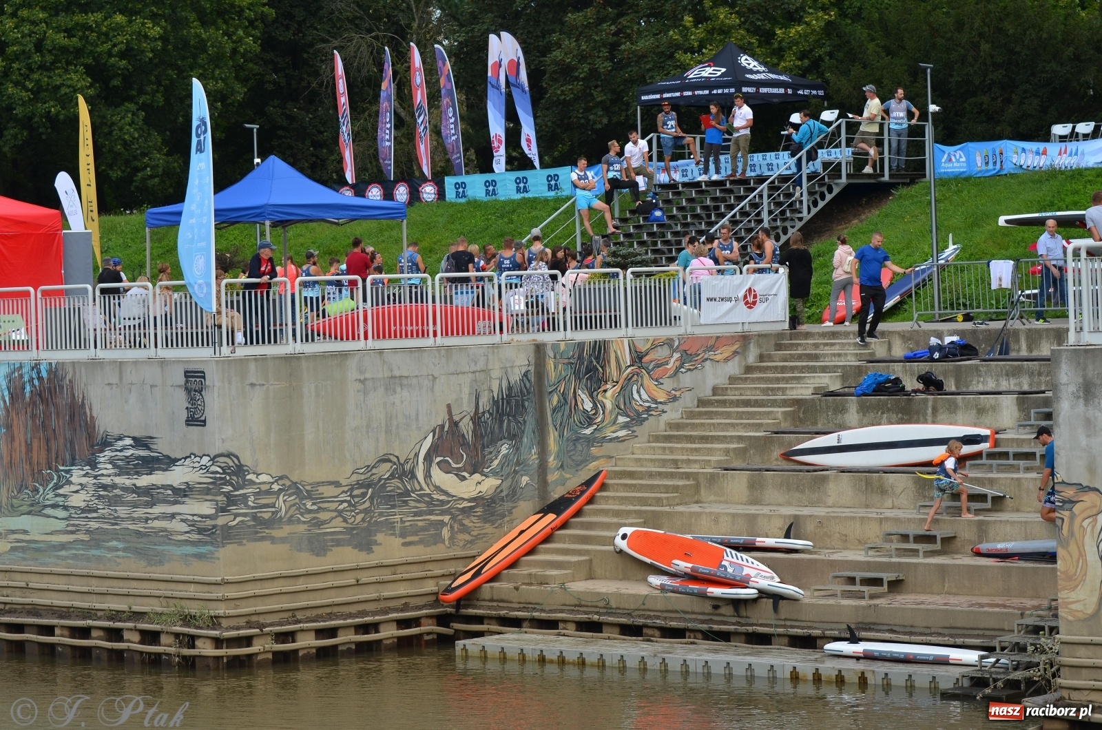 Zdjęcie w galerii na portalu naszraciborz.pl: ODRA SUP CUP - regaty na desce w Raciborzu  wiadomości z regionu