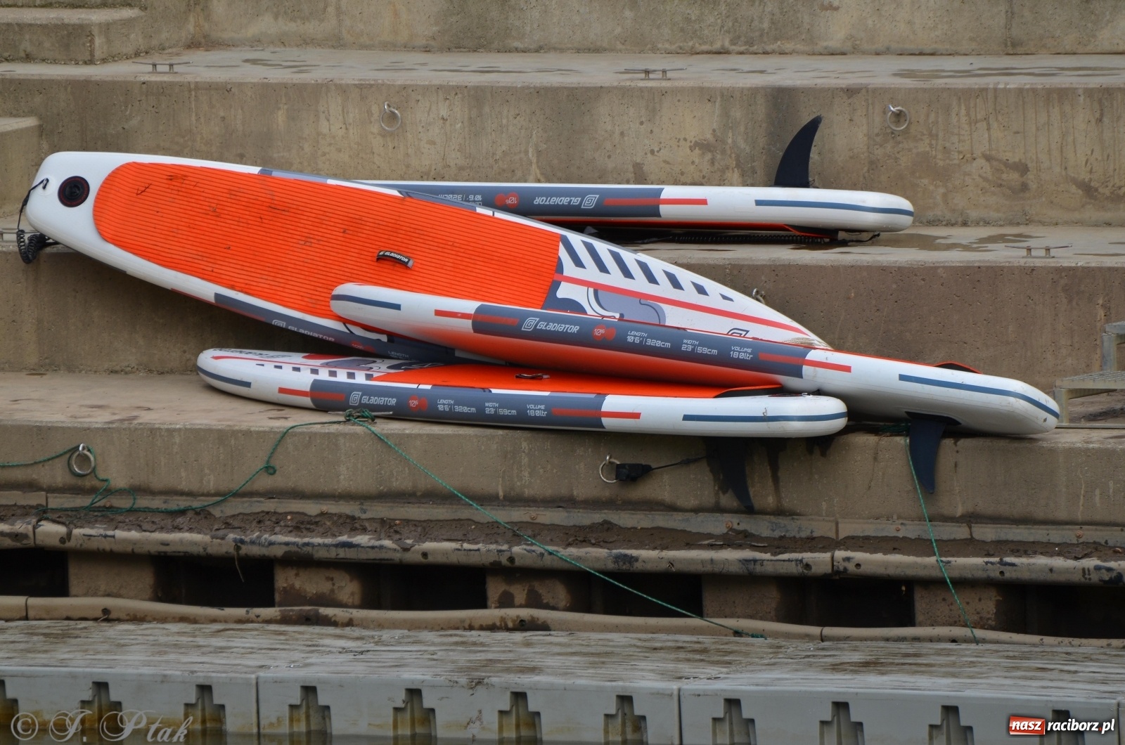 Zdjęcie w galerii na portalu naszraciborz.pl: ODRA SUP CUP - regaty na desce w Raciborzu  wiadomości z regionu