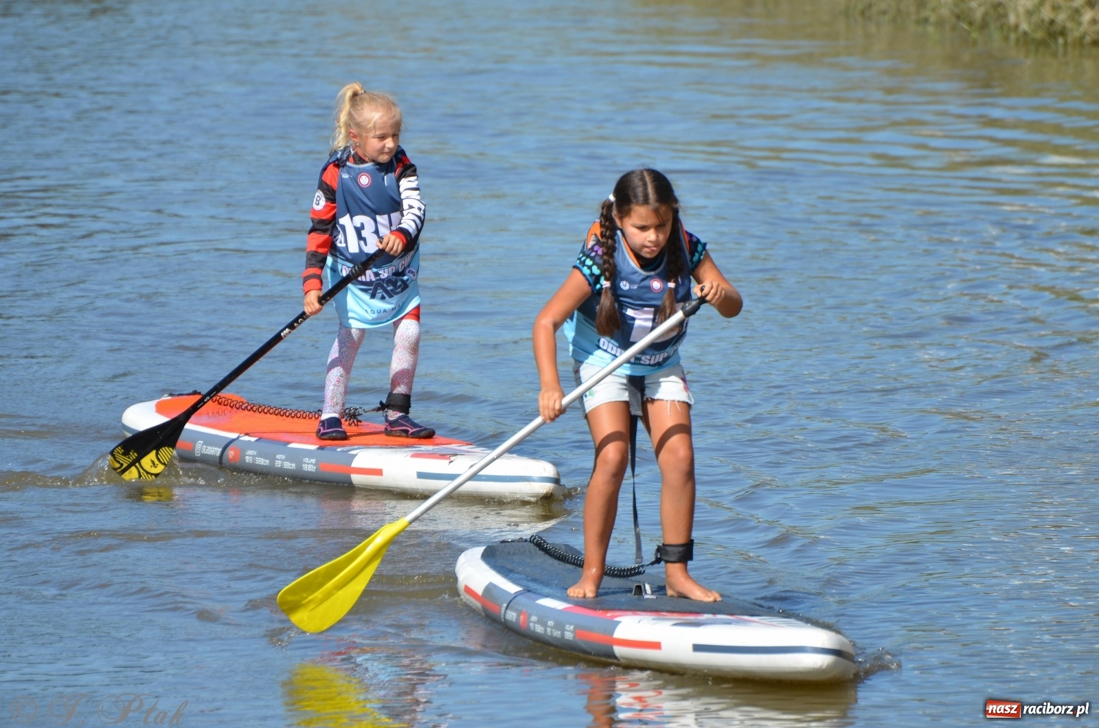 Zdjęcie w galerii na portalu naszraciborz.pl: ODRA SUP CUP - regaty na desce w Raciborzu  wiadomości z regionu