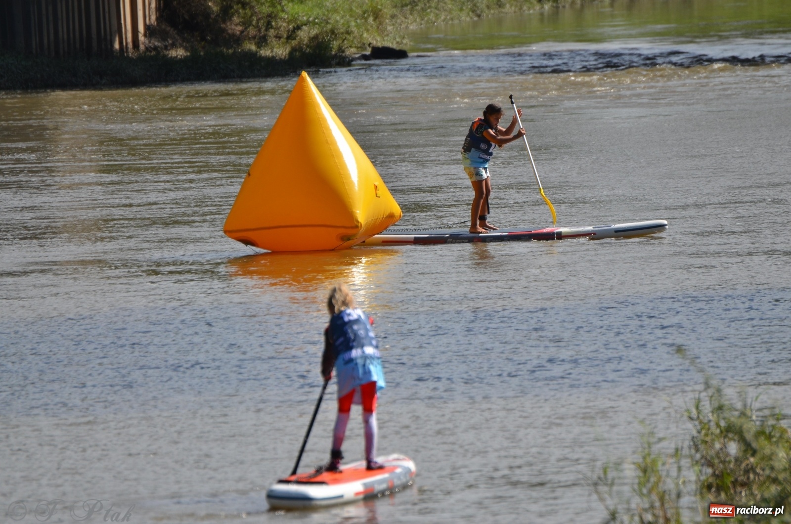 Zdjęcie w galerii na portalu naszraciborz.pl: ODRA SUP CUP - regaty na desce w Raciborzu  wiadomości z regionu