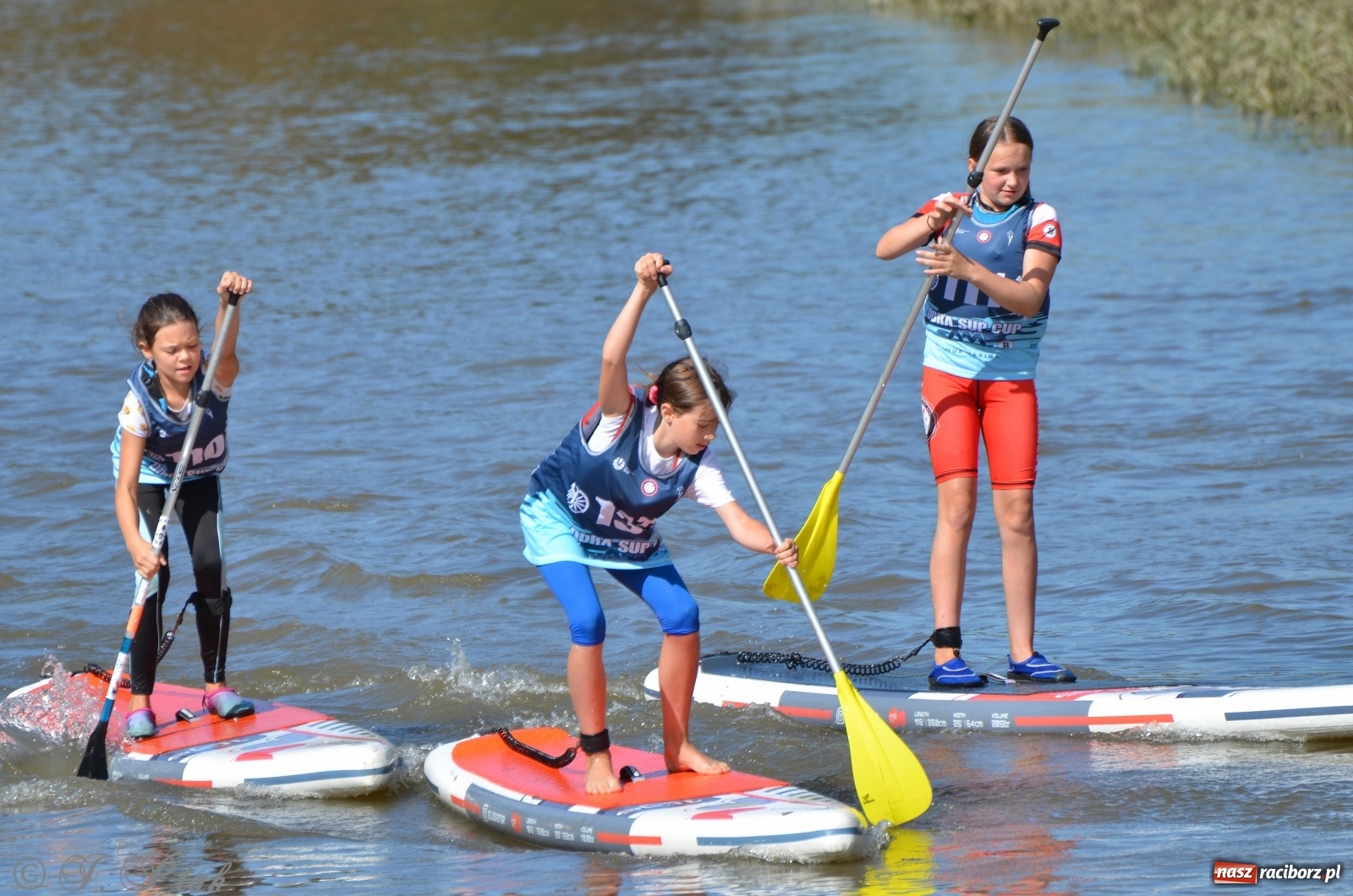 Zdjęcie w galerii na portalu naszraciborz.pl: ODRA SUP CUP - regaty na desce w Raciborzu  wiadomości z regionu