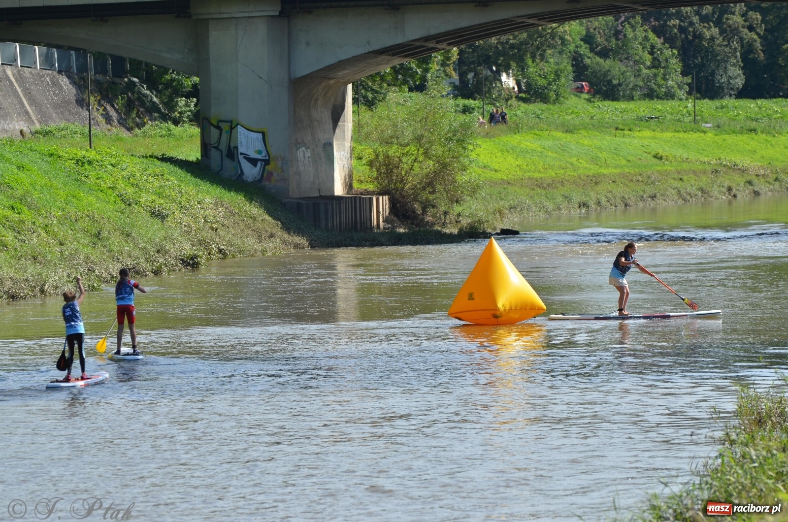 Zdjęcie w galerii na portalu naszraciborz.pl: ODRA SUP CUP - regaty na desce w Raciborzu  wiadomości z regionu