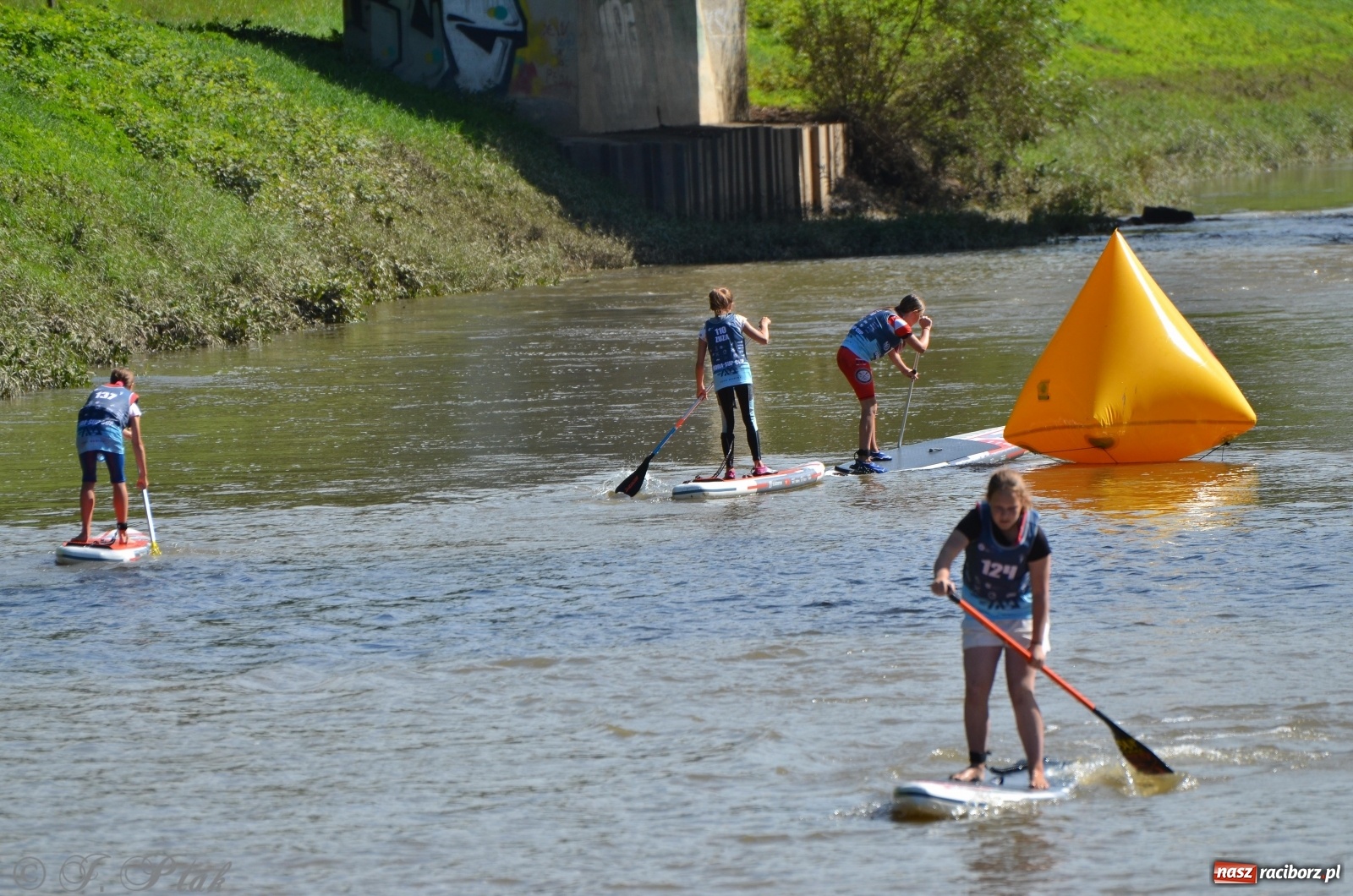 Zdjęcie w galerii na portalu naszraciborz.pl: ODRA SUP CUP - regaty na desce w Raciborzu  wiadomości z regionu