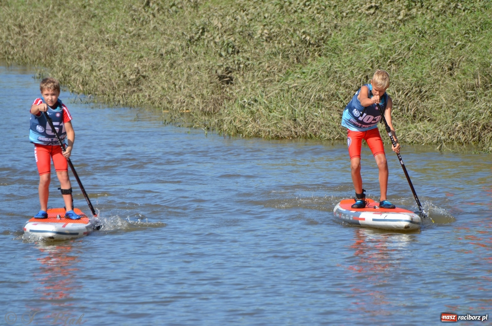 Zdjęcie w galerii na portalu naszraciborz.pl: ODRA SUP CUP - regaty na desce w Raciborzu  wiadomości z regionu