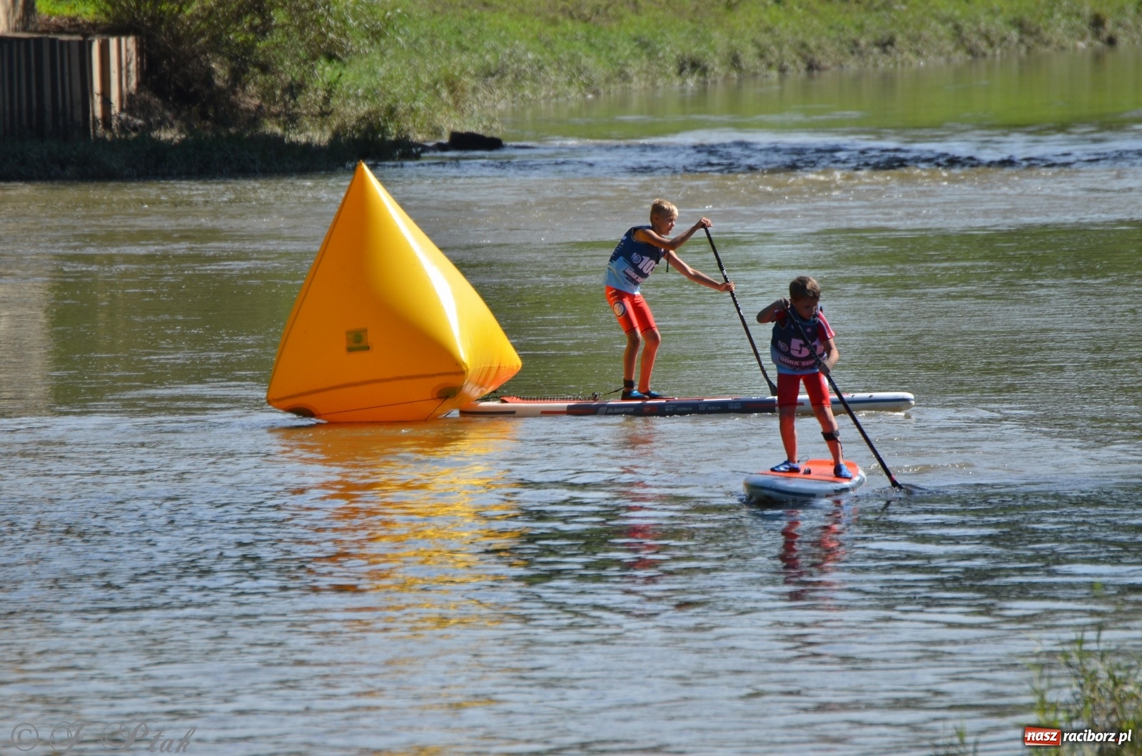 Zdjęcie w galerii na portalu naszraciborz.pl: ODRA SUP CUP - regaty na desce w Raciborzu  wiadomości z regionu