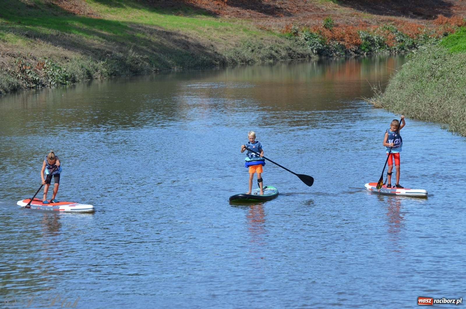 Zdjęcie w galerii na portalu naszraciborz.pl: ODRA SUP CUP - regaty na desce w Raciborzu  wiadomości z regionu