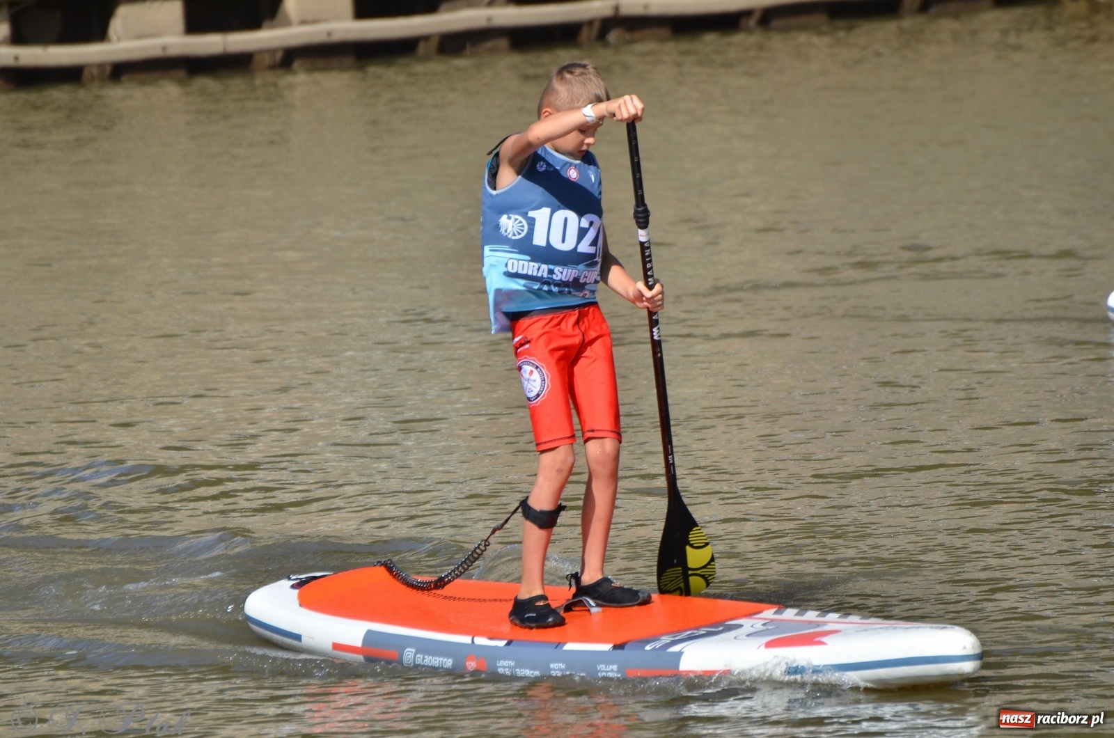 Zdjęcie w galerii na portalu naszraciborz.pl: ODRA SUP CUP - regaty na desce w Raciborzu  wiadomości z regionu