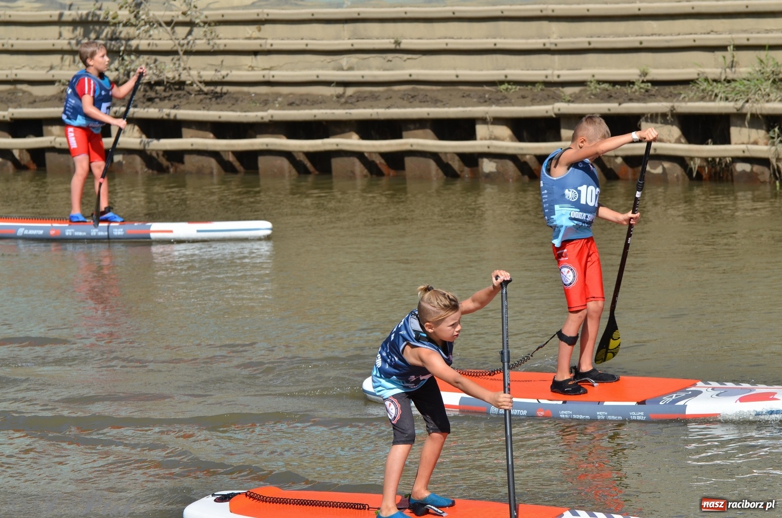 Zdjęcie w galerii na portalu naszraciborz.pl: ODRA SUP CUP - regaty na desce w Raciborzu  wiadomości z regionu