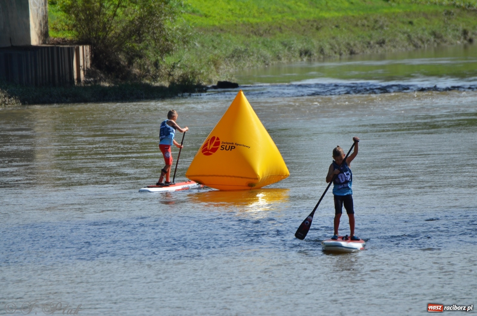 Zdjęcie w galerii na portalu naszraciborz.pl: ODRA SUP CUP - regaty na desce w Raciborzu  wiadomości z regionu