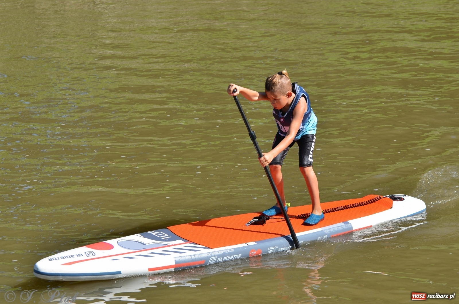 Zdjęcie w galerii na portalu naszraciborz.pl: ODRA SUP CUP - regaty na desce w Raciborzu  wiadomości z regionu