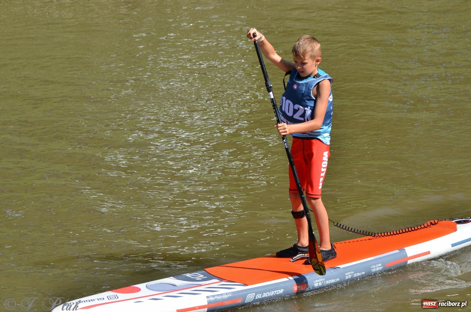Zdjęcie w galerii na portalu naszraciborz.pl: ODRA SUP CUP - regaty na desce w Raciborzu  wiadomości z regionu