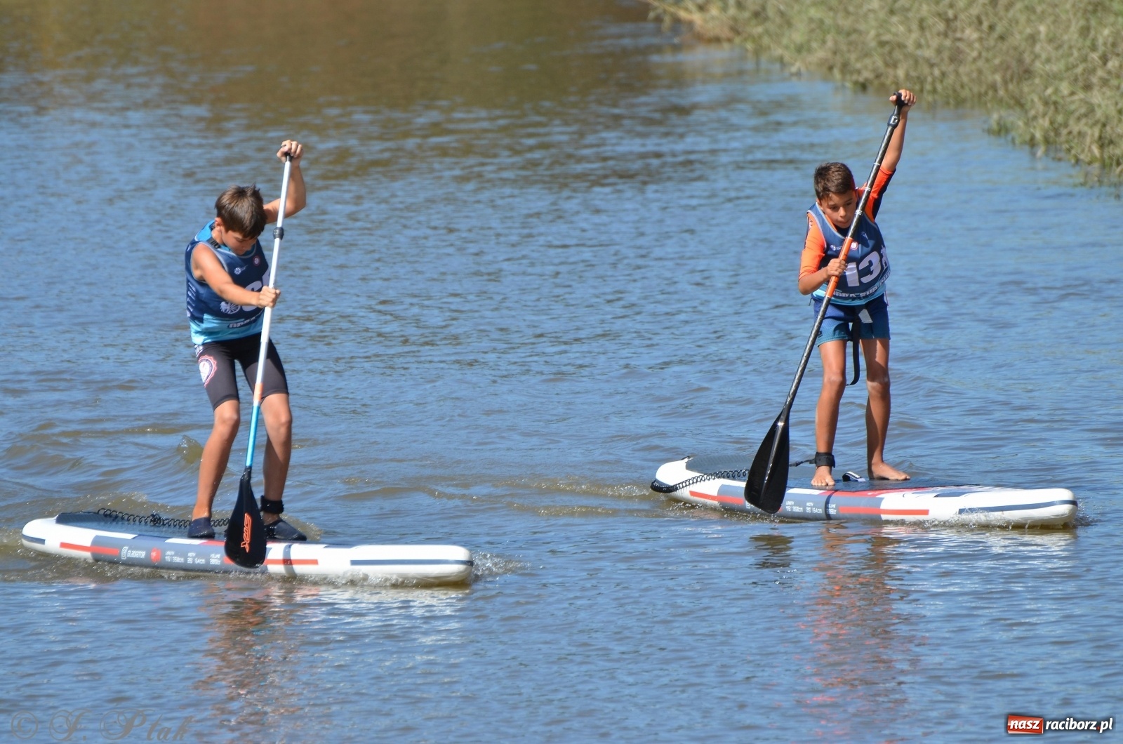 Zdjęcie w galerii na portalu naszraciborz.pl: ODRA SUP CUP - regaty na desce w Raciborzu  wiadomości z regionu