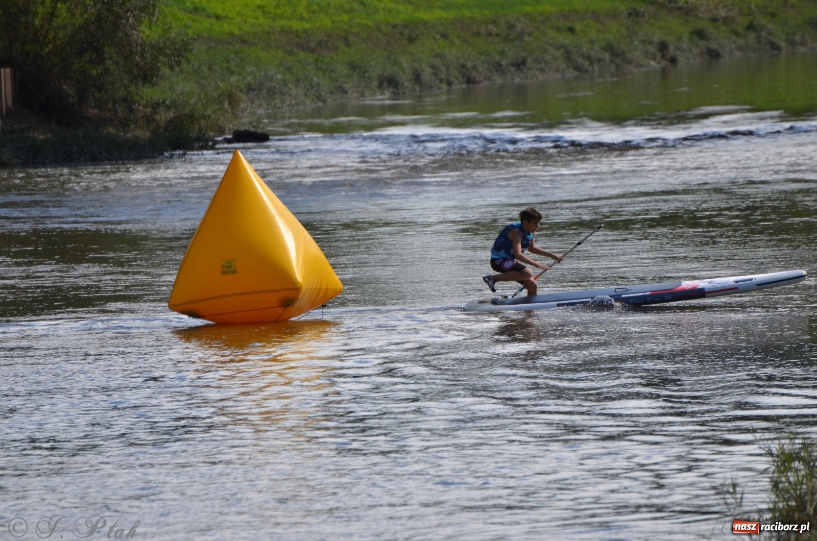 Zdjęcie w galerii na portalu naszraciborz.pl: ODRA SUP CUP - regaty na desce w Raciborzu  wiadomości z regionu
