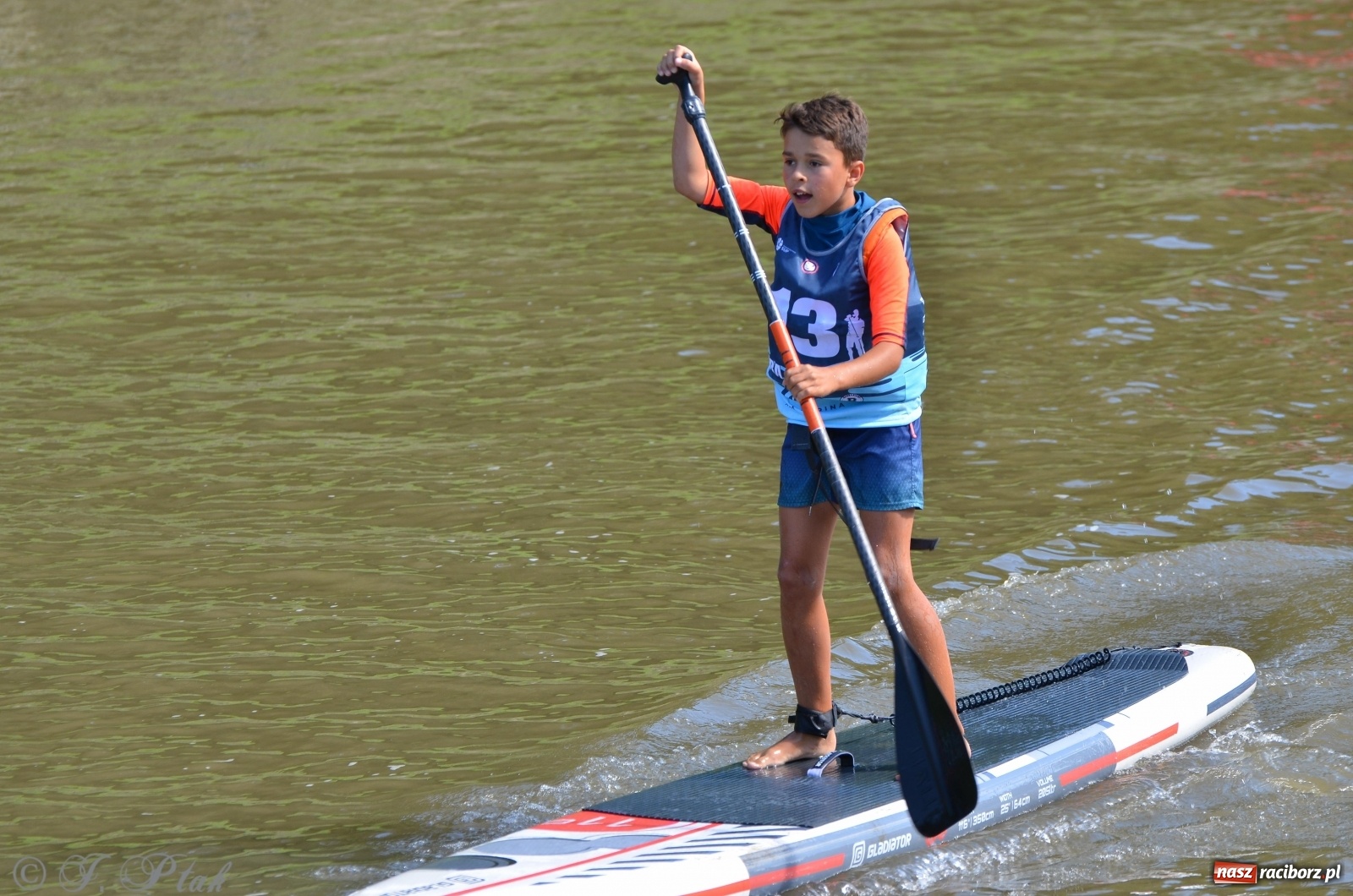 Zdjęcie w galerii na portalu naszraciborz.pl: ODRA SUP CUP - regaty na desce w Raciborzu  wiadomości z regionu