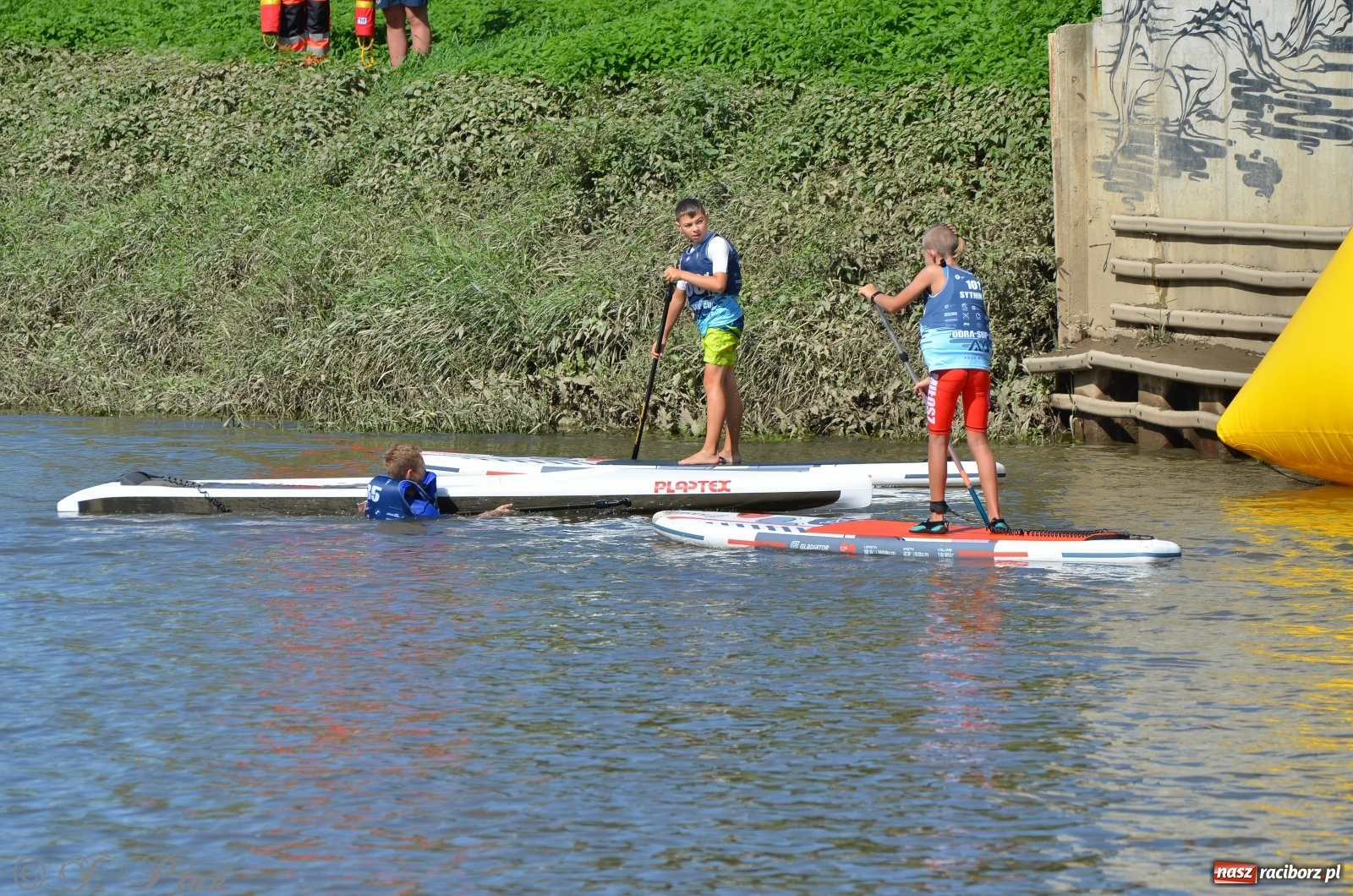 Zdjęcie w galerii na portalu naszraciborz.pl: ODRA SUP CUP - regaty na desce w Raciborzu  wiadomości z regionu