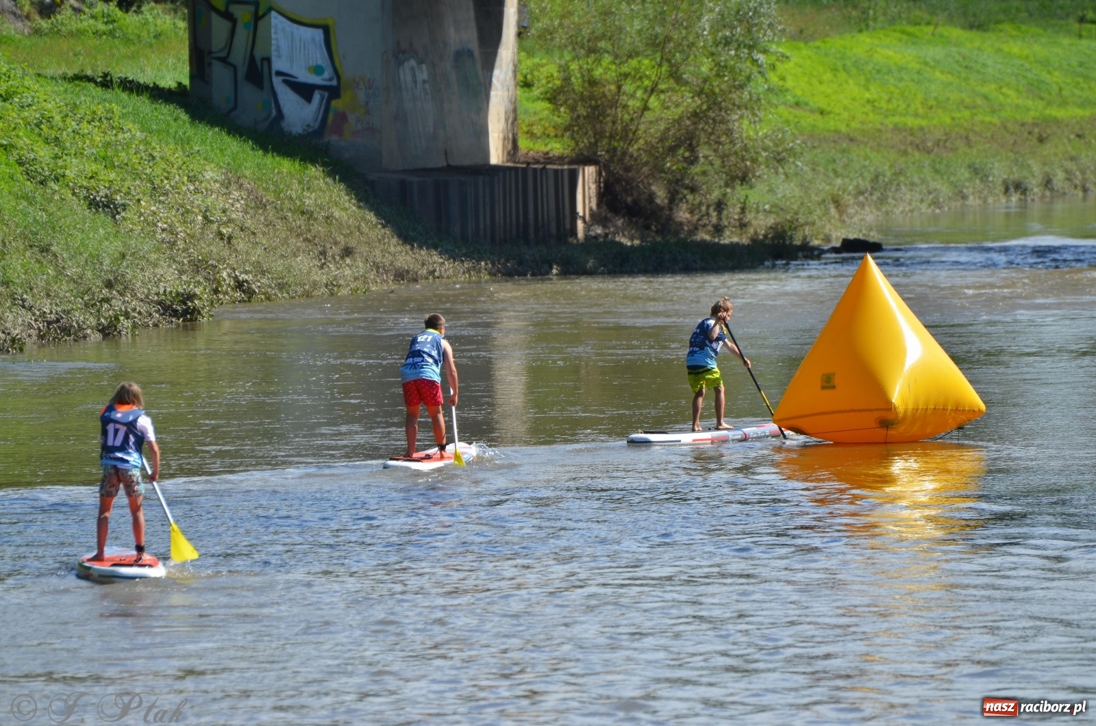 Zdjęcie w galerii na portalu naszraciborz.pl: ODRA SUP CUP - regaty na desce w Raciborzu  wiadomości z regionu
