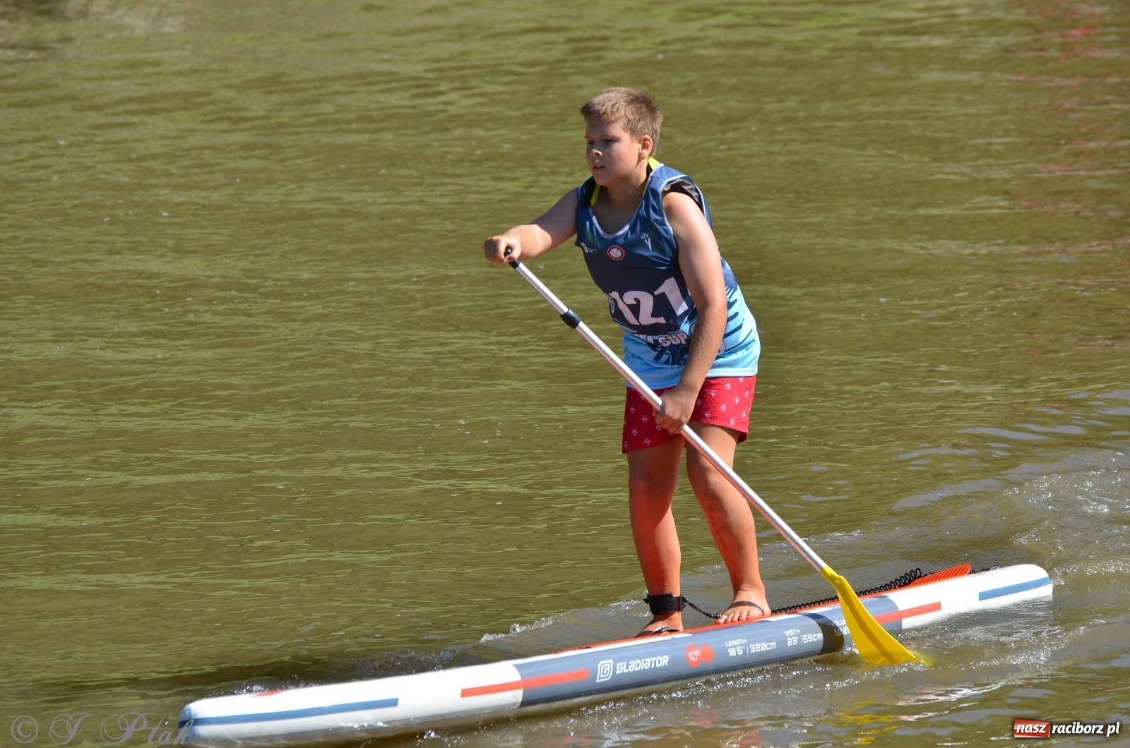 Zdjęcie w galerii na portalu naszraciborz.pl: ODRA SUP CUP - regaty na desce w Raciborzu  wiadomości z regionu