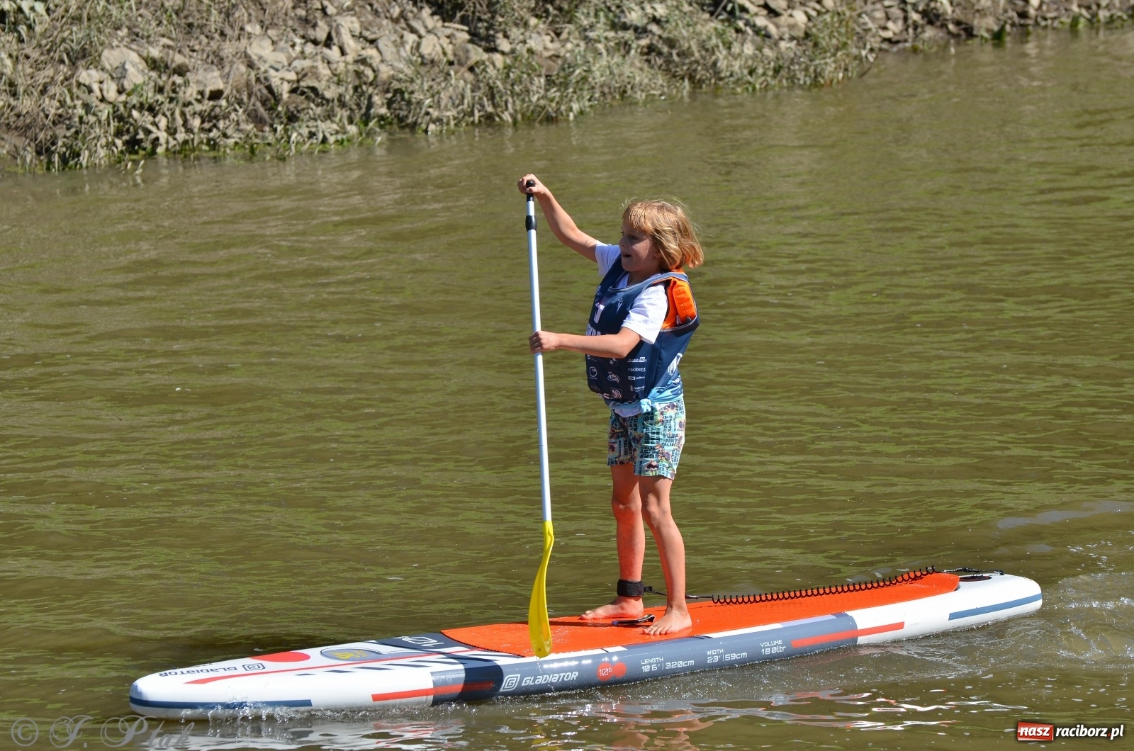 Zdjęcie w galerii na portalu naszraciborz.pl: ODRA SUP CUP - regaty na desce w Raciborzu  wiadomości z regionu