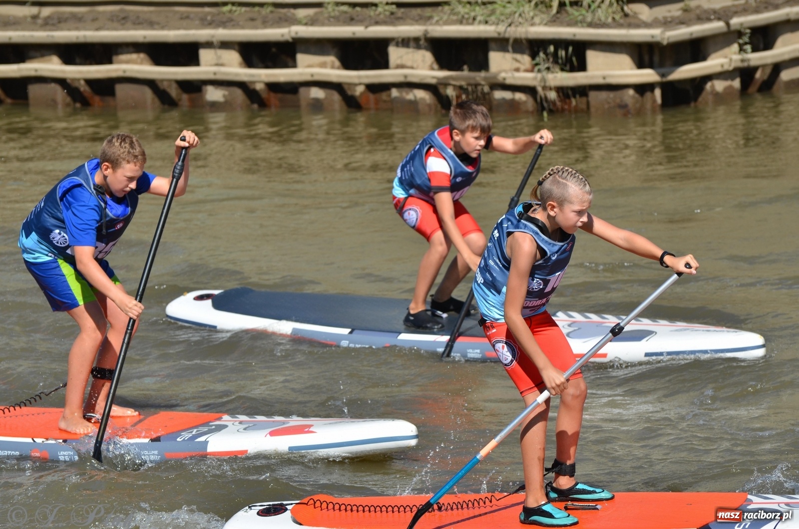 Zdjęcie w galerii na portalu naszraciborz.pl: ODRA SUP CUP - regaty na desce w Raciborzu  wiadomości z regionu