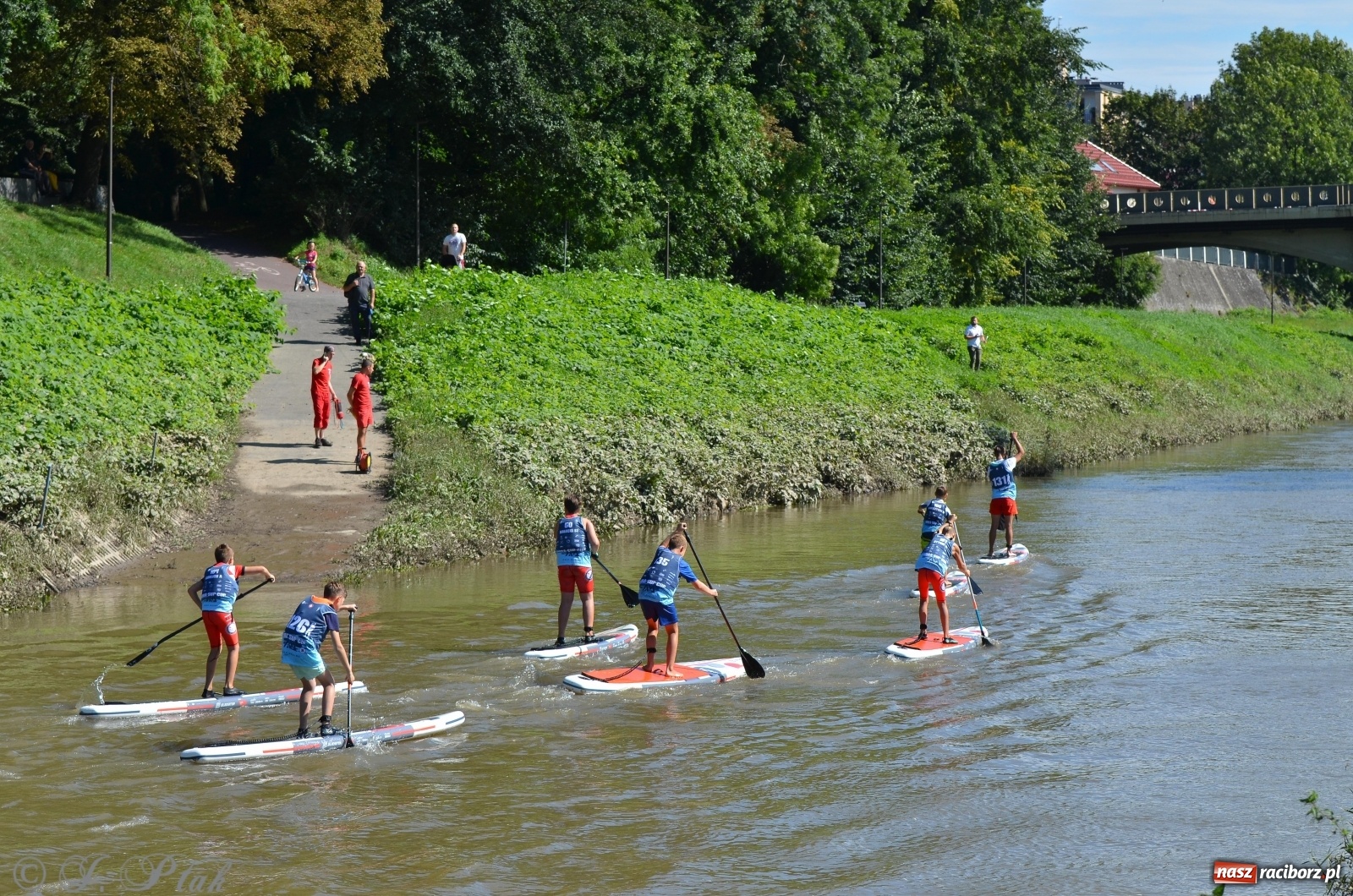 Zdjęcie w galerii na portalu naszraciborz.pl: ODRA SUP CUP - regaty na desce w Raciborzu  wiadomości z regionu