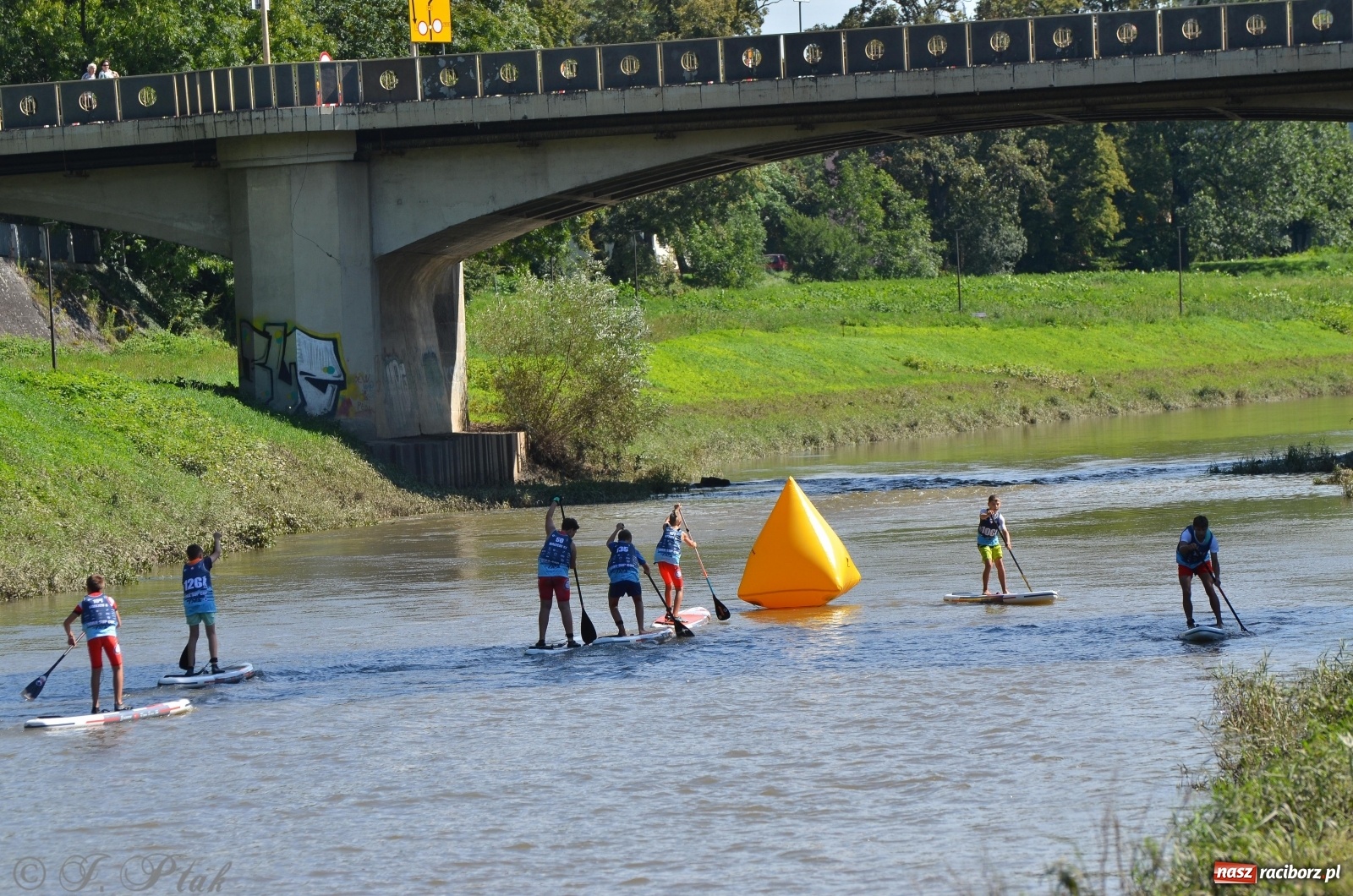 Zdjęcie w galerii na portalu naszraciborz.pl: ODRA SUP CUP - regaty na desce w Raciborzu  wiadomości z regionu