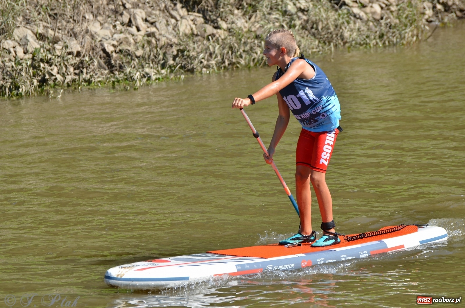 Zdjęcie w galerii na portalu naszraciborz.pl: ODRA SUP CUP - regaty na desce w Raciborzu  wiadomości z regionu