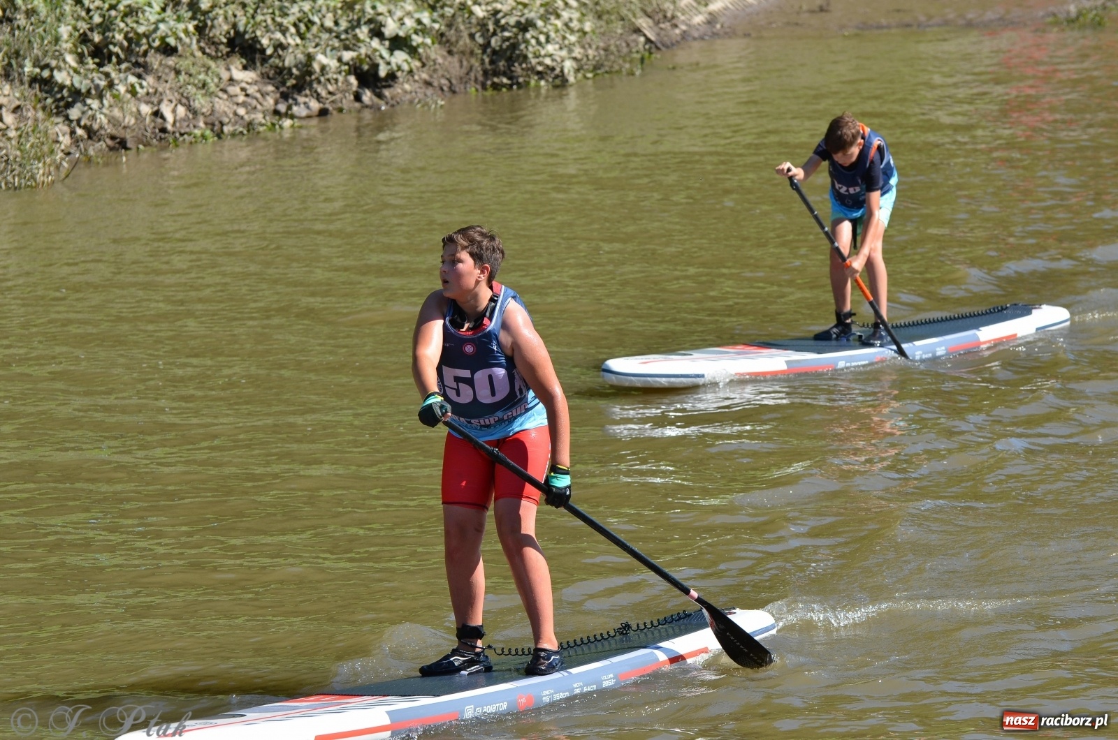Zdjęcie w galerii na portalu naszraciborz.pl: ODRA SUP CUP - regaty na desce w Raciborzu  wiadomości z regionu