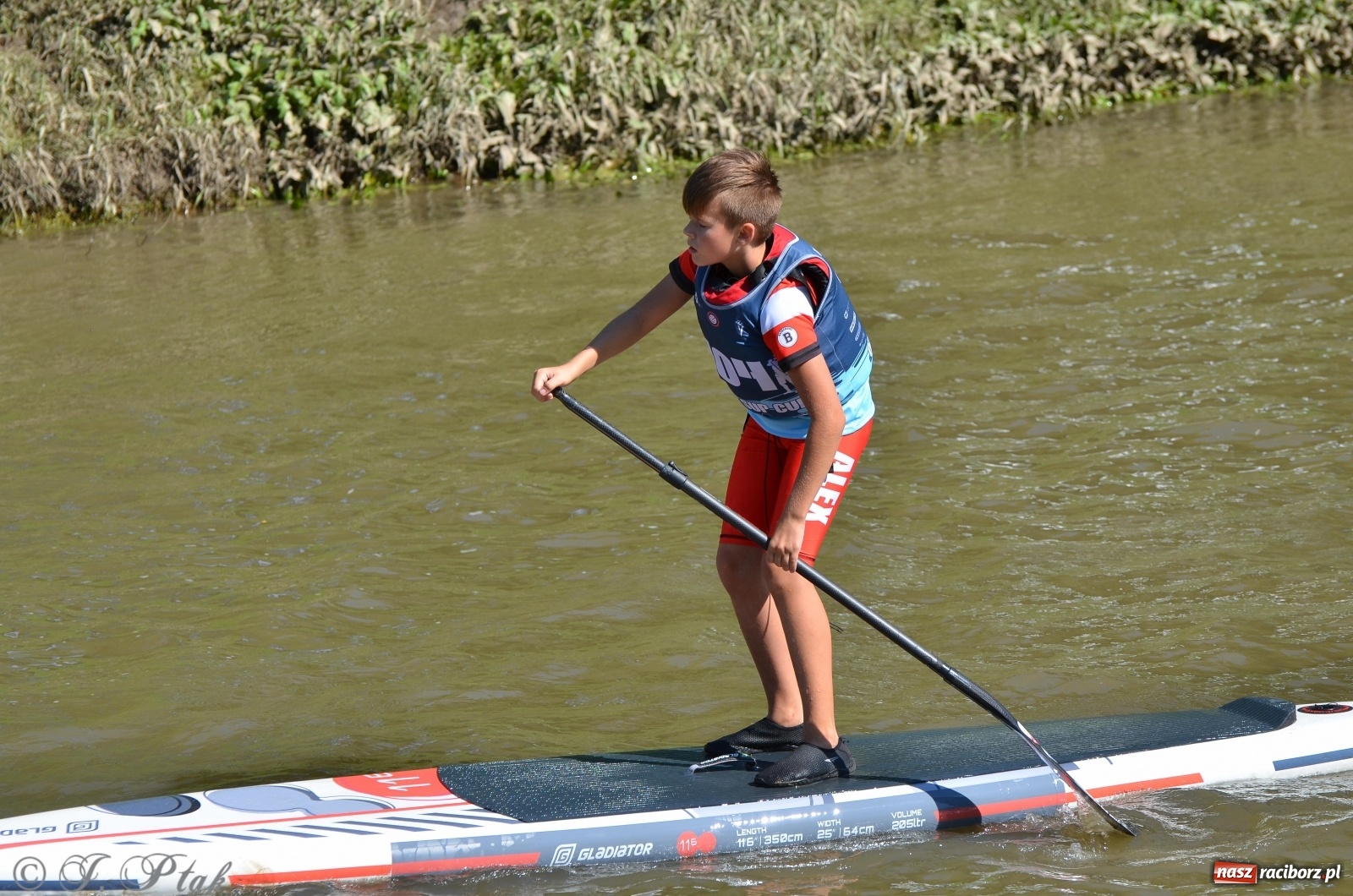 Zdjęcie w galerii na portalu naszraciborz.pl: ODRA SUP CUP - regaty na desce w Raciborzu  wiadomości z regionu