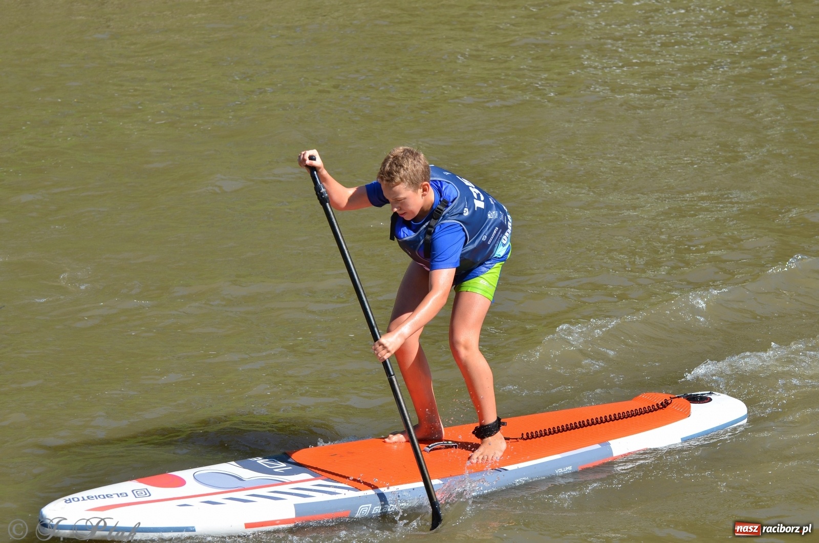 Zdjęcie w galerii na portalu naszraciborz.pl: ODRA SUP CUP - regaty na desce w Raciborzu  wiadomości z regionu