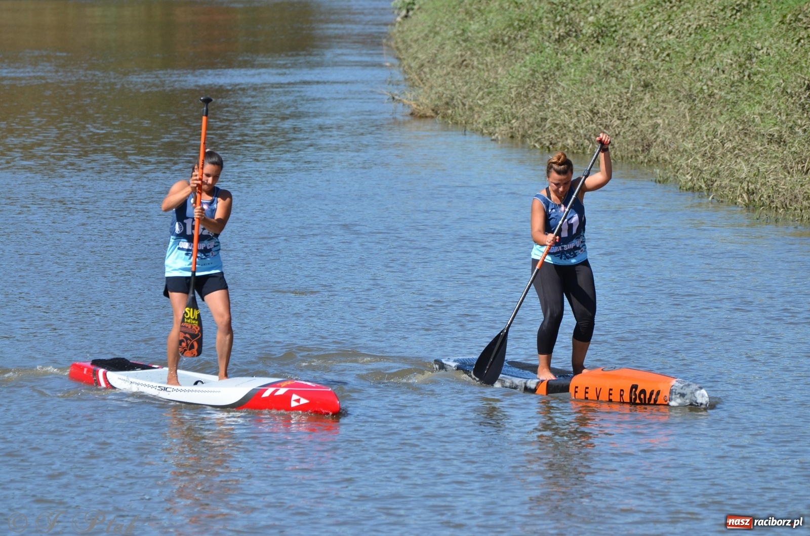 Zdjęcie w galerii na portalu naszraciborz.pl: ODRA SUP CUP - regaty na desce w Raciborzu  wiadomości z regionu