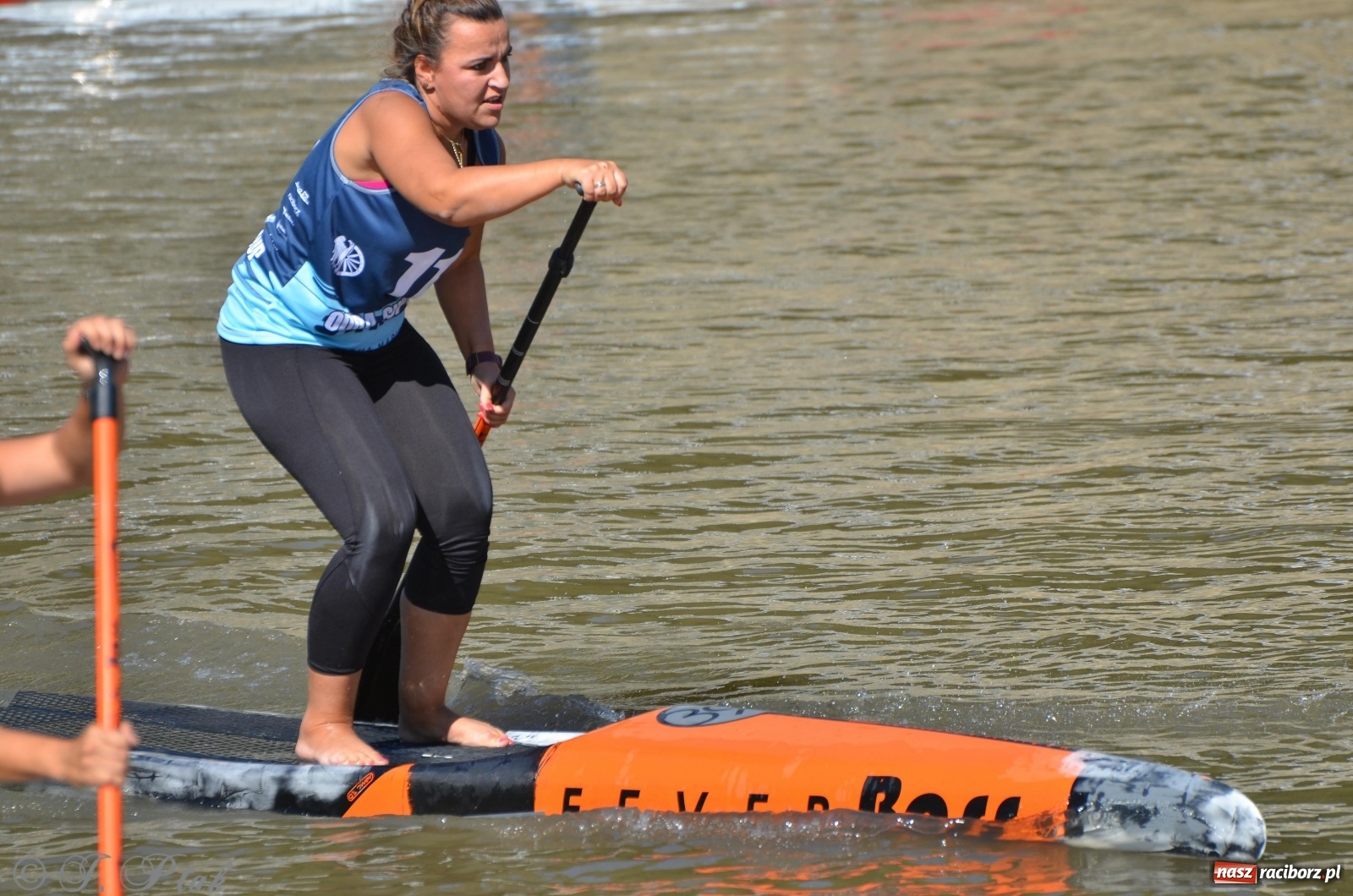 Zdjęcie w galerii na portalu naszraciborz.pl: ODRA SUP CUP - regaty na desce w Raciborzu  wiadomości z regionu