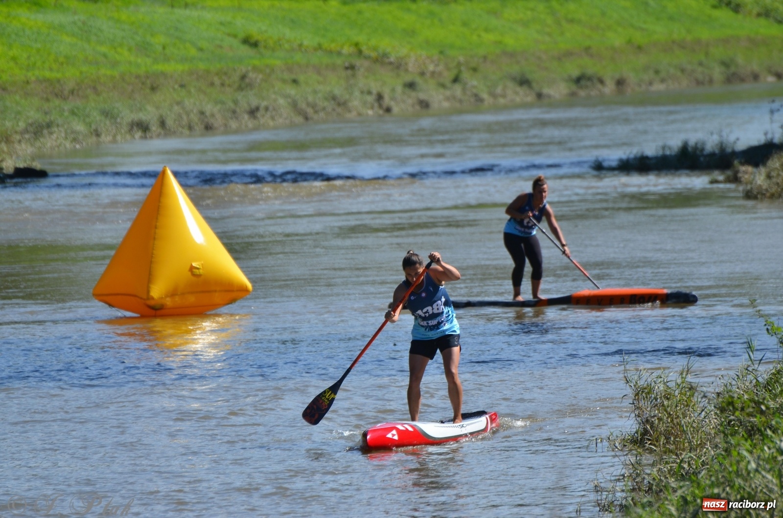 Zdjęcie w galerii na portalu naszraciborz.pl: ODRA SUP CUP - regaty na desce w Raciborzu  wiadomości z regionu