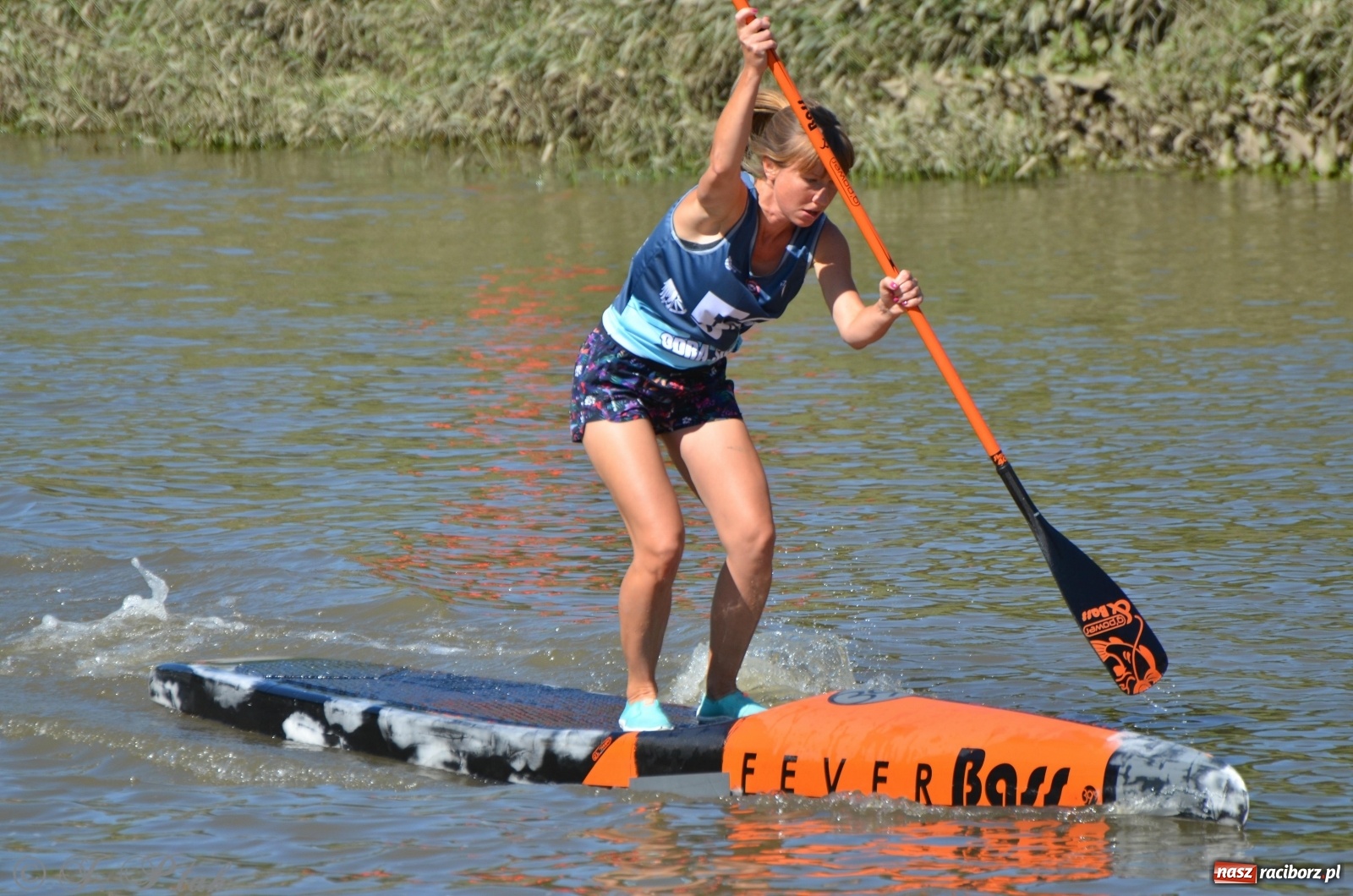 Zdjęcie w galerii na portalu naszraciborz.pl: ODRA SUP CUP - regaty na desce w Raciborzu  wiadomości z regionu
