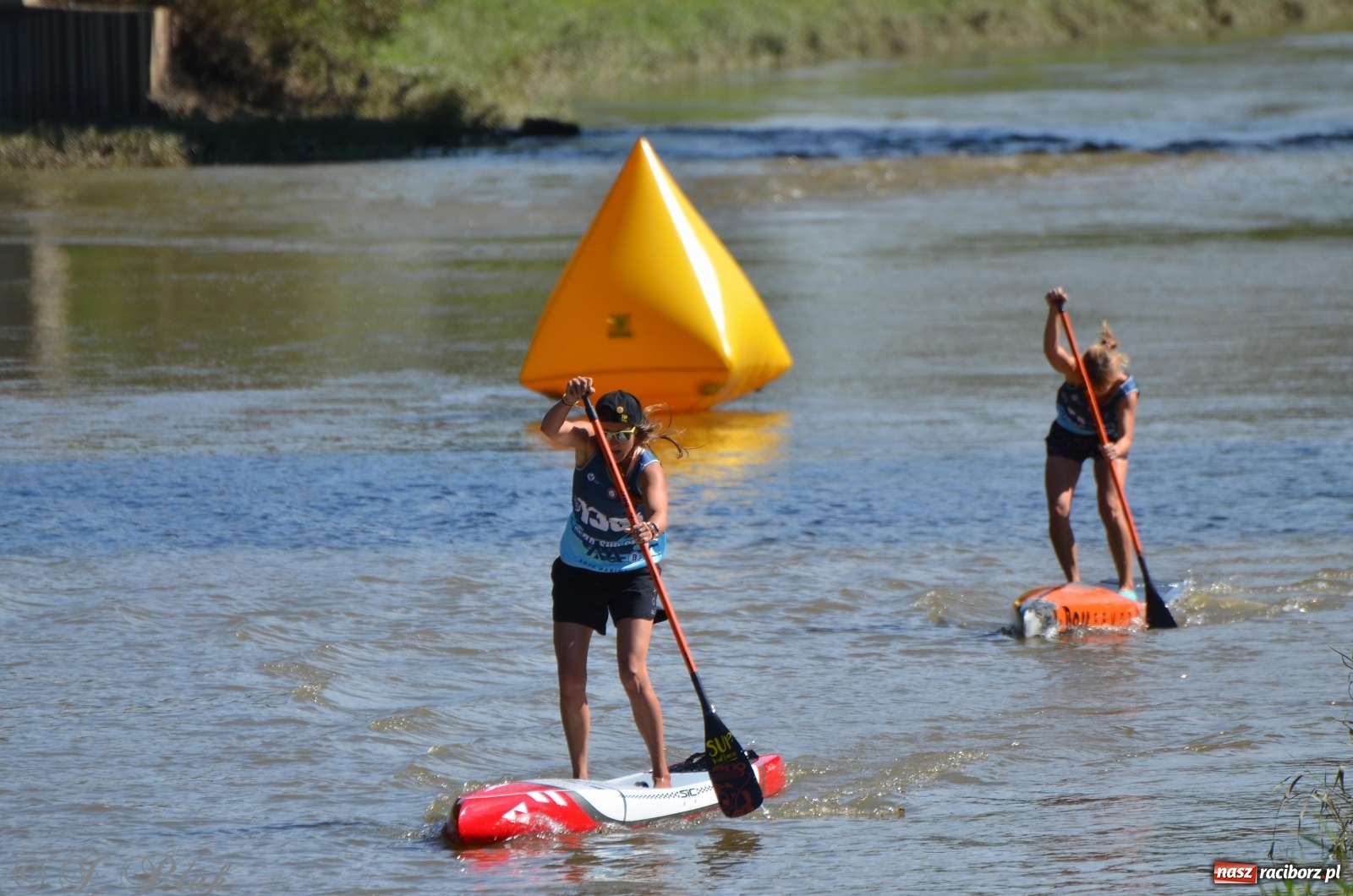 Zdjęcie w galerii na portalu naszraciborz.pl: ODRA SUP CUP - regaty na desce w Raciborzu  wiadomości z regionu