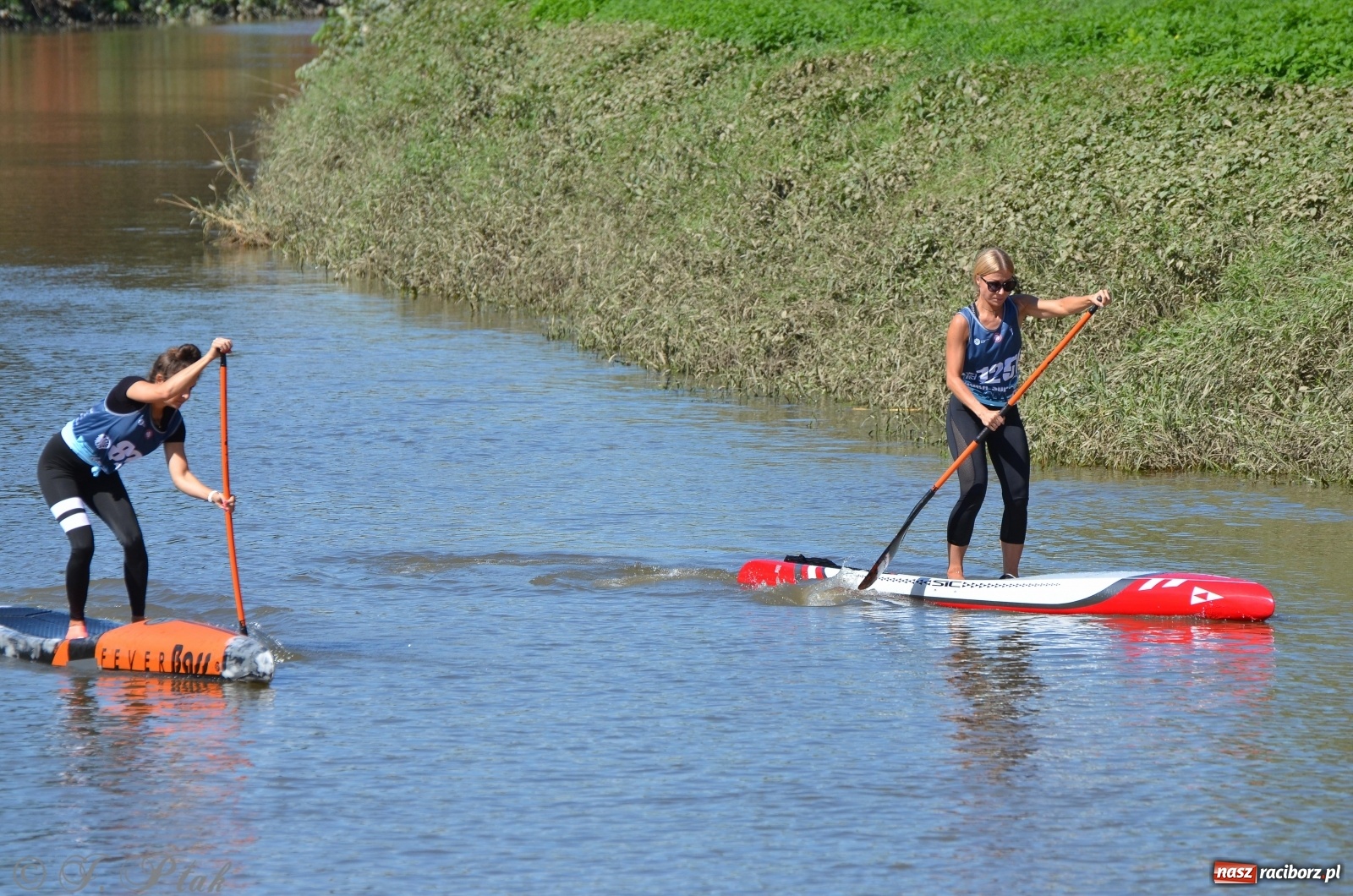 Zdjęcie w galerii na portalu naszraciborz.pl: ODRA SUP CUP - regaty na desce w Raciborzu  wiadomości z regionu