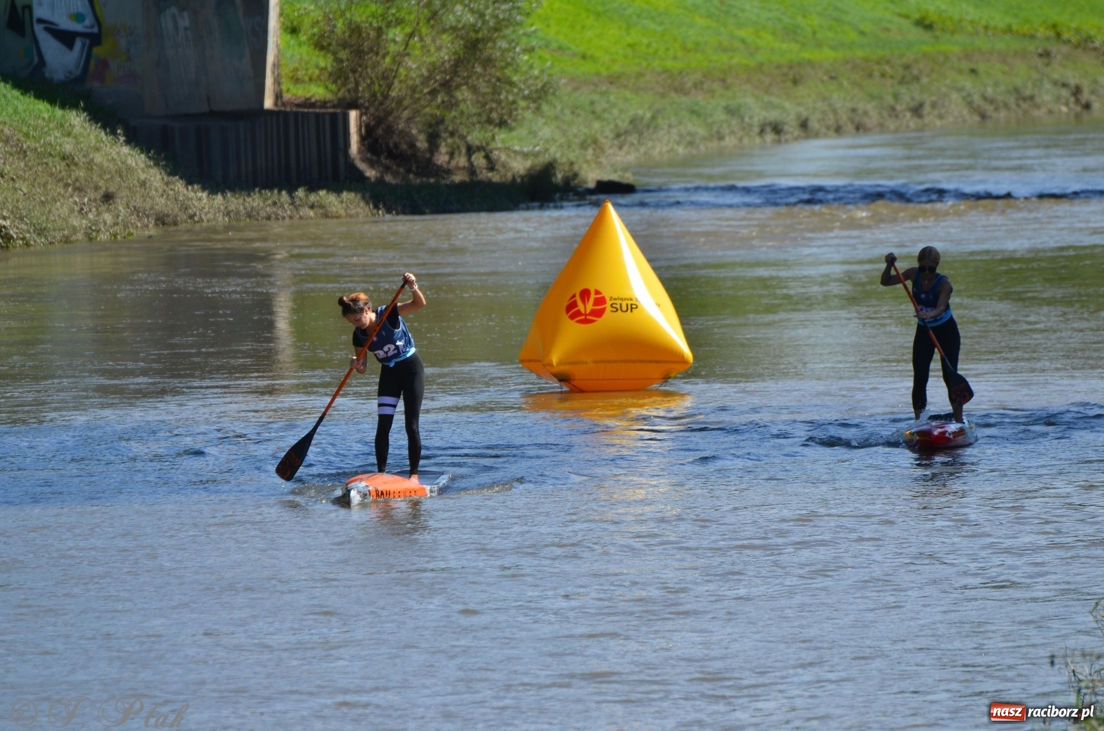 Zdjęcie w galerii na portalu naszraciborz.pl: ODRA SUP CUP - regaty na desce w Raciborzu  wiadomości z regionu