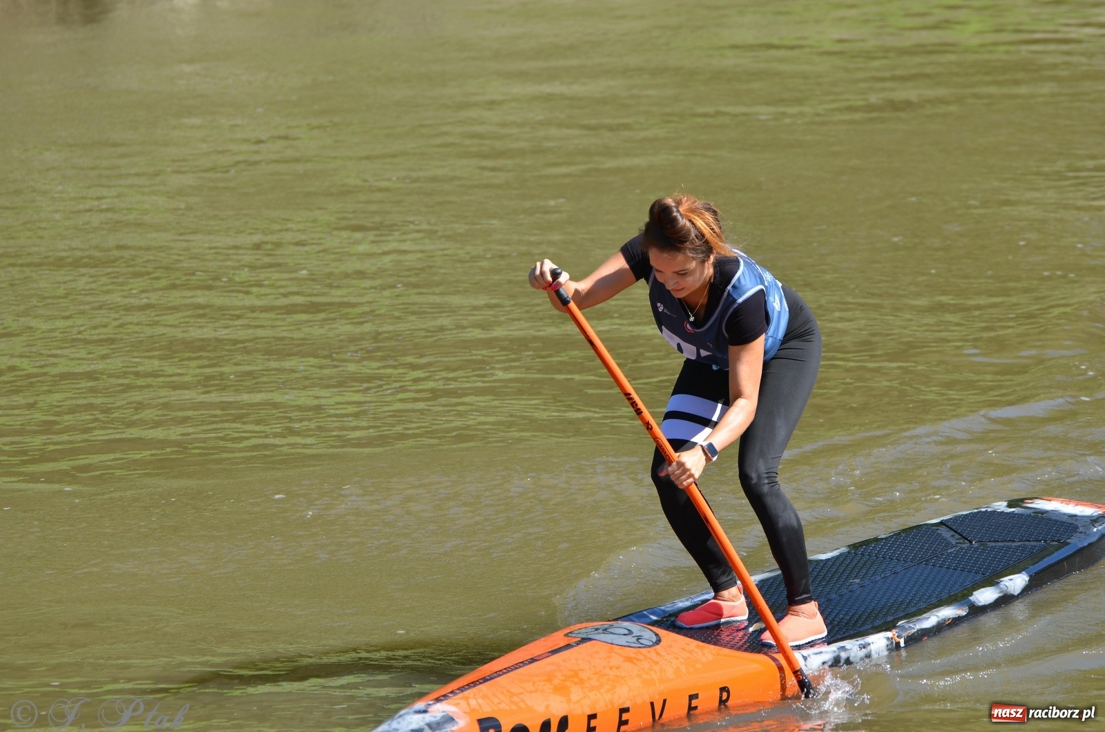 Zdjęcie w galerii na portalu naszraciborz.pl: ODRA SUP CUP - regaty na desce w Raciborzu  wiadomości z regionu