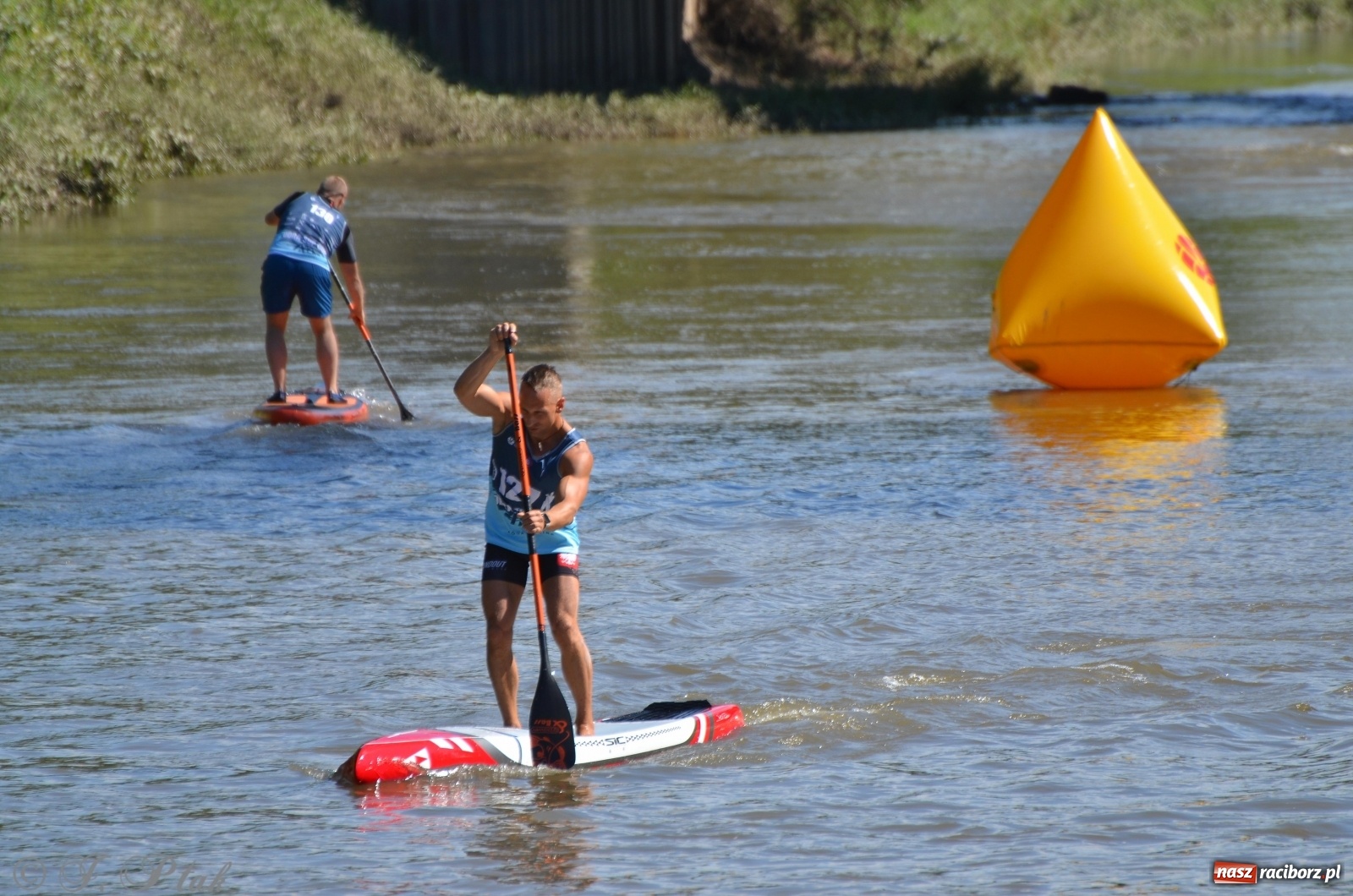 Zdjęcie w galerii na portalu naszraciborz.pl: ODRA SUP CUP - regaty na desce w Raciborzu  wiadomości z regionu