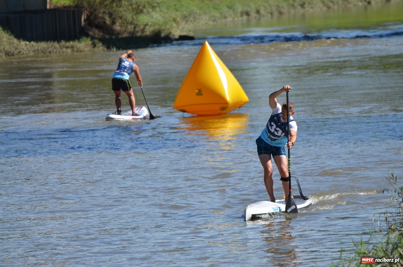 Zdjęcie w galerii na portalu naszraciborz.pl: ODRA SUP CUP - regaty na desce w Raciborzu  wiadomości z regionu