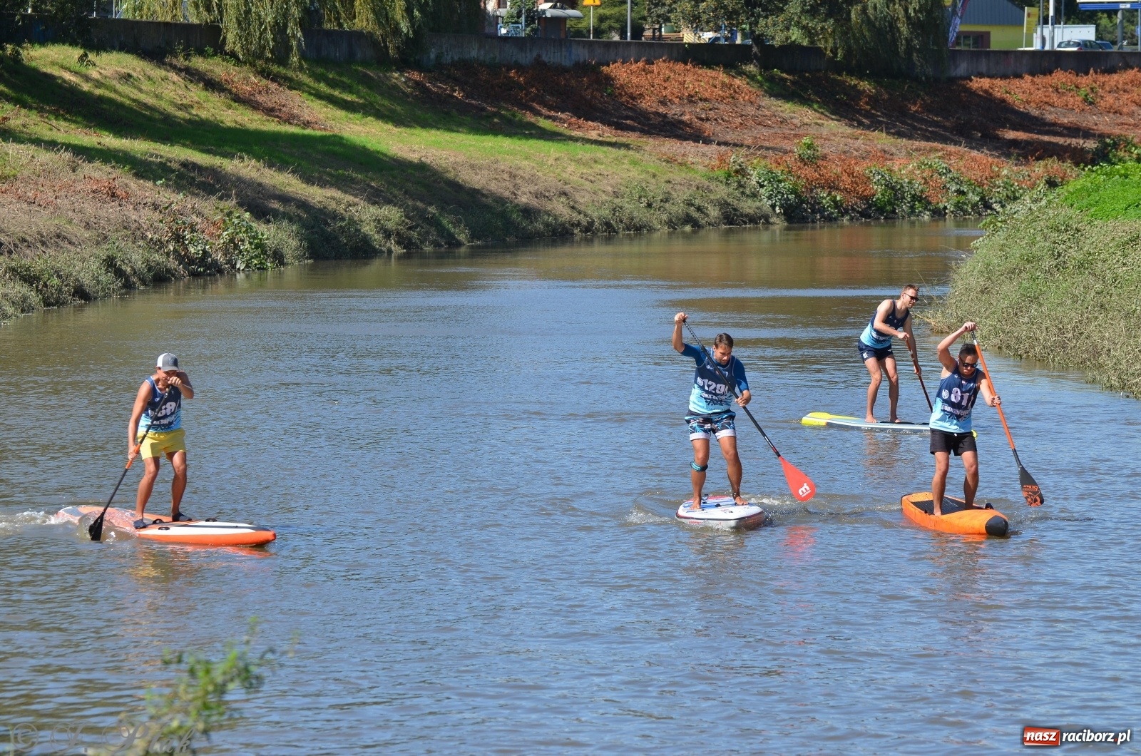 Zdjęcie w galerii na portalu naszraciborz.pl: ODRA SUP CUP - regaty na desce w Raciborzu  wiadomości z regionu