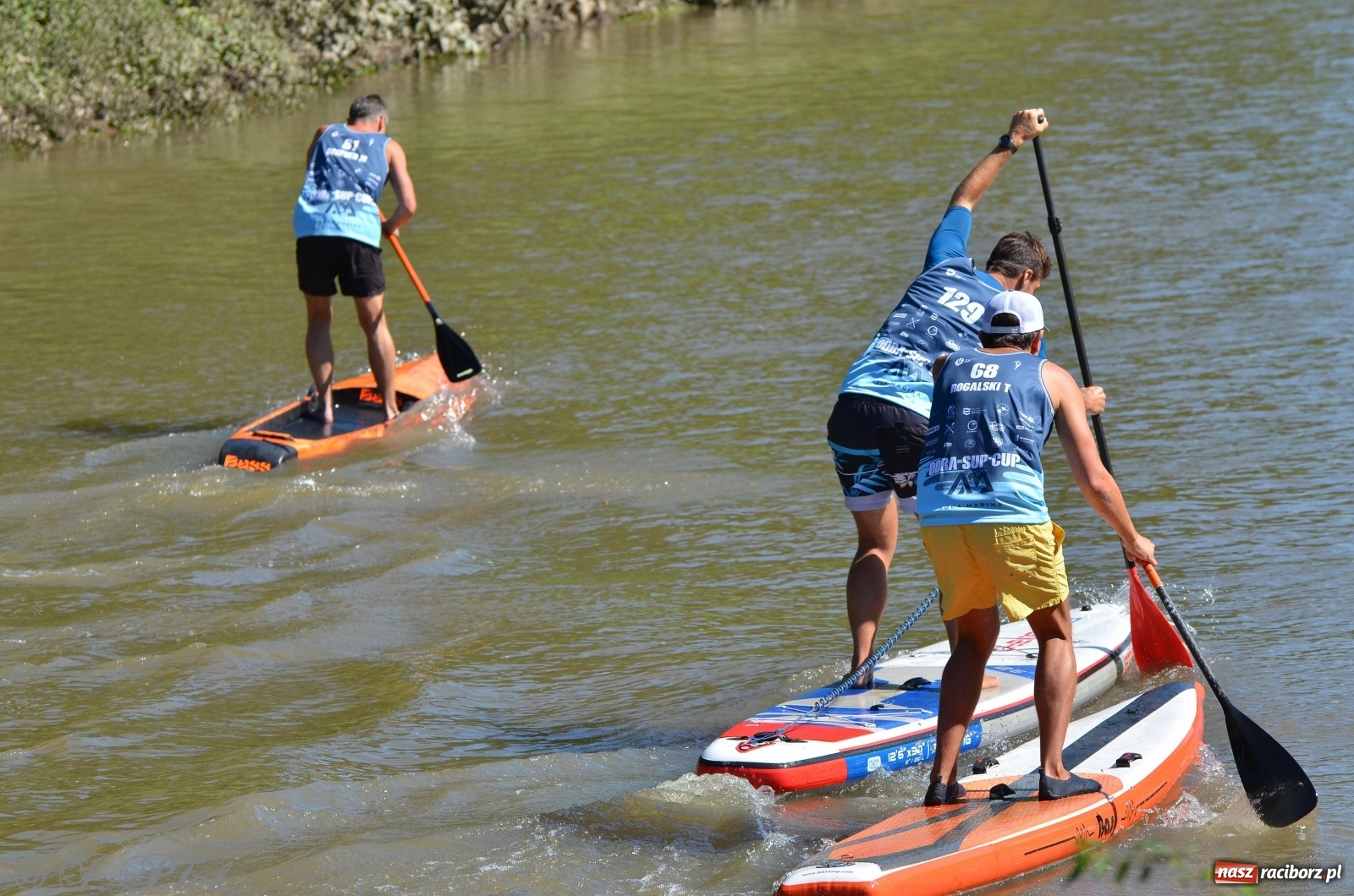 Zdjęcie w galerii na portalu naszraciborz.pl: ODRA SUP CUP - regaty na desce w Raciborzu  wiadomości z regionu