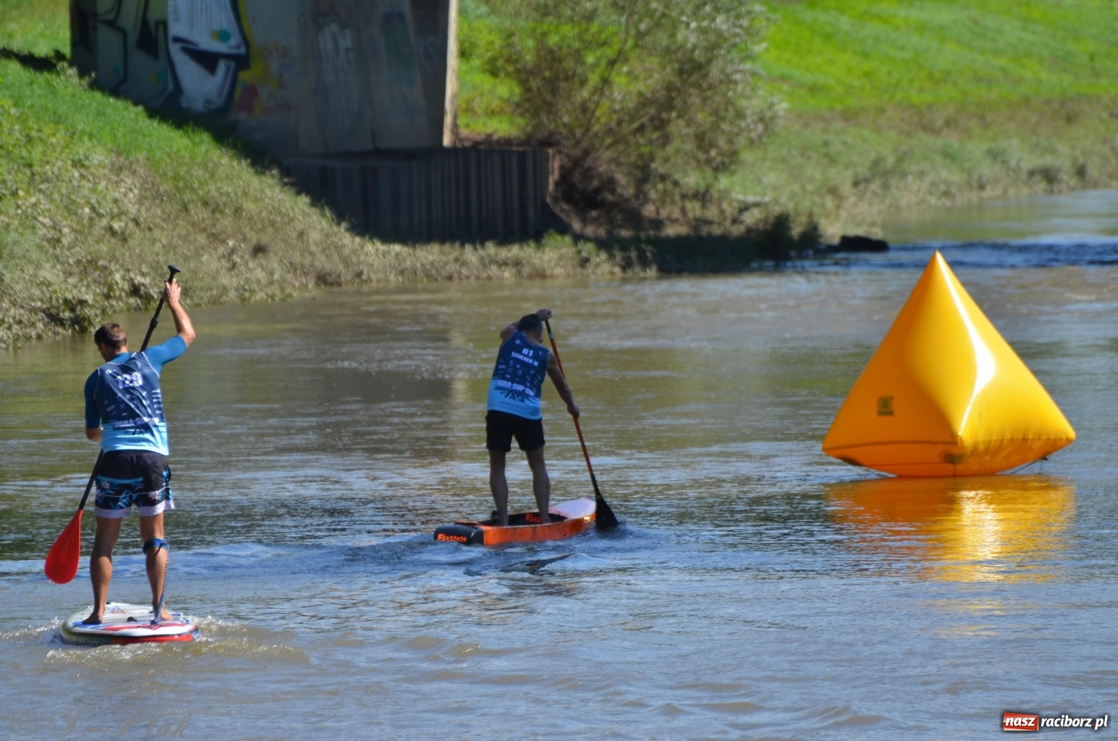 Zdjęcie w galerii na portalu naszraciborz.pl: ODRA SUP CUP - regaty na desce w Raciborzu  wiadomości z regionu