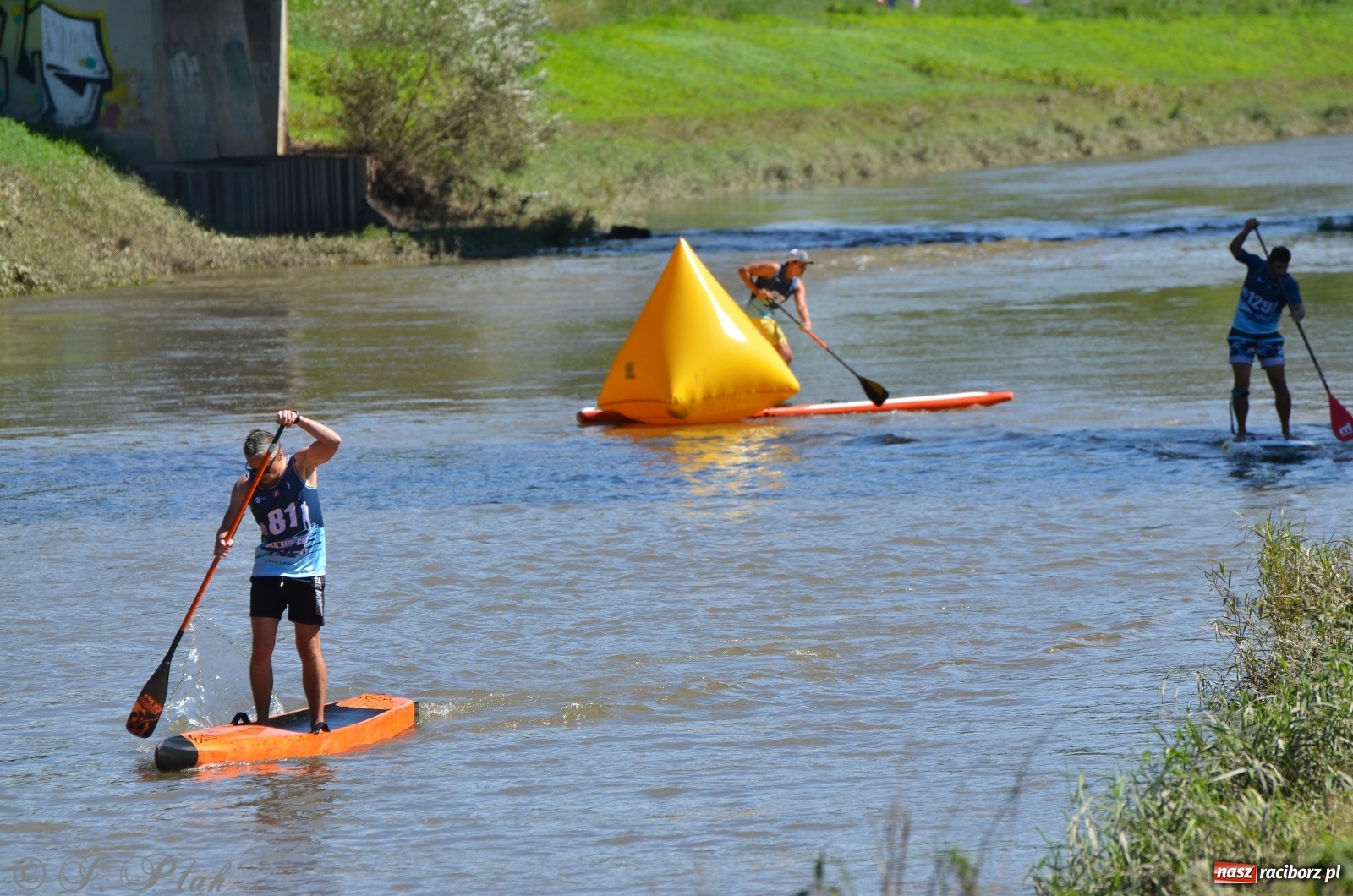 Zdjęcie w galerii na portalu naszraciborz.pl: ODRA SUP CUP - regaty na desce w Raciborzu  wiadomości z regionu