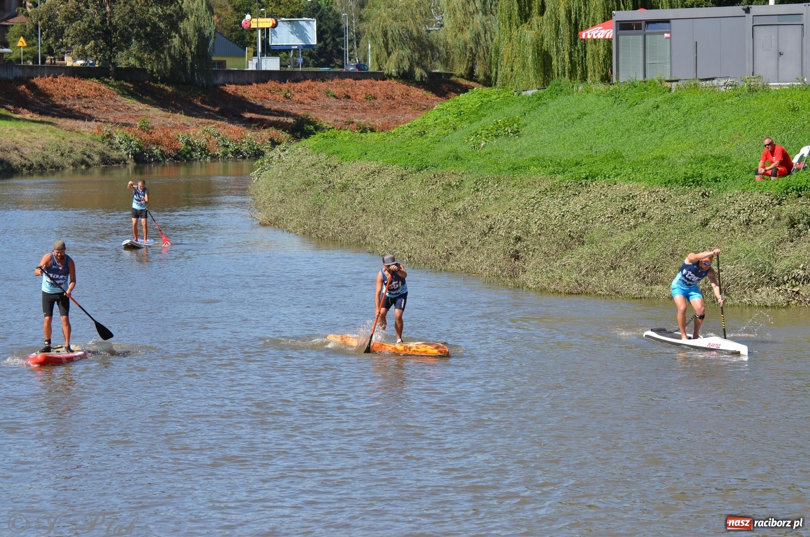 Zdjęcie w galerii na portalu naszraciborz.pl: ODRA SUP CUP - regaty na desce w Raciborzu  wiadomości z regionu