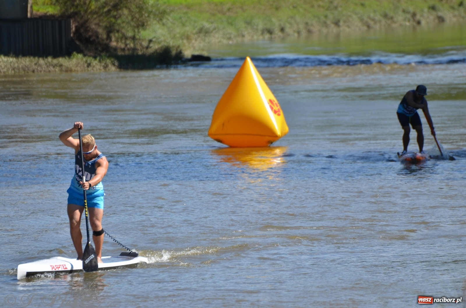 Zdjęcie w galerii na portalu naszraciborz.pl: ODRA SUP CUP - regaty na desce w Raciborzu  wiadomości z regionu