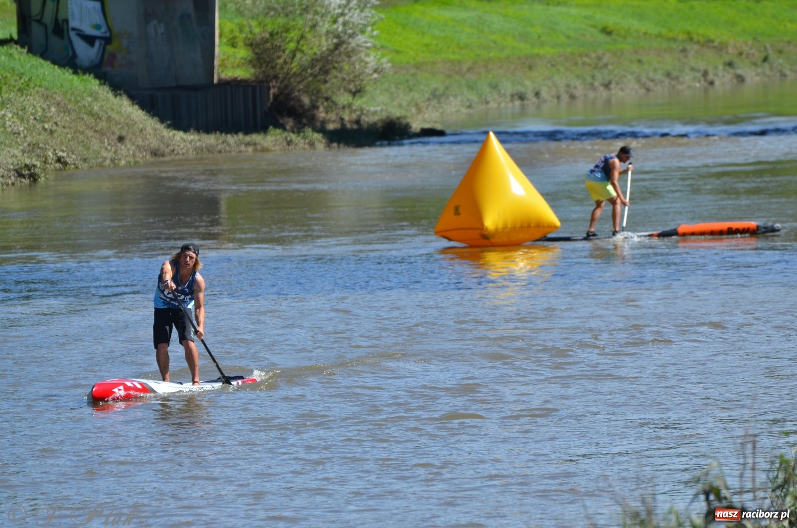 Zdjęcie w galerii na portalu naszraciborz.pl: ODRA SUP CUP - regaty na desce w Raciborzu  wiadomości z regionu