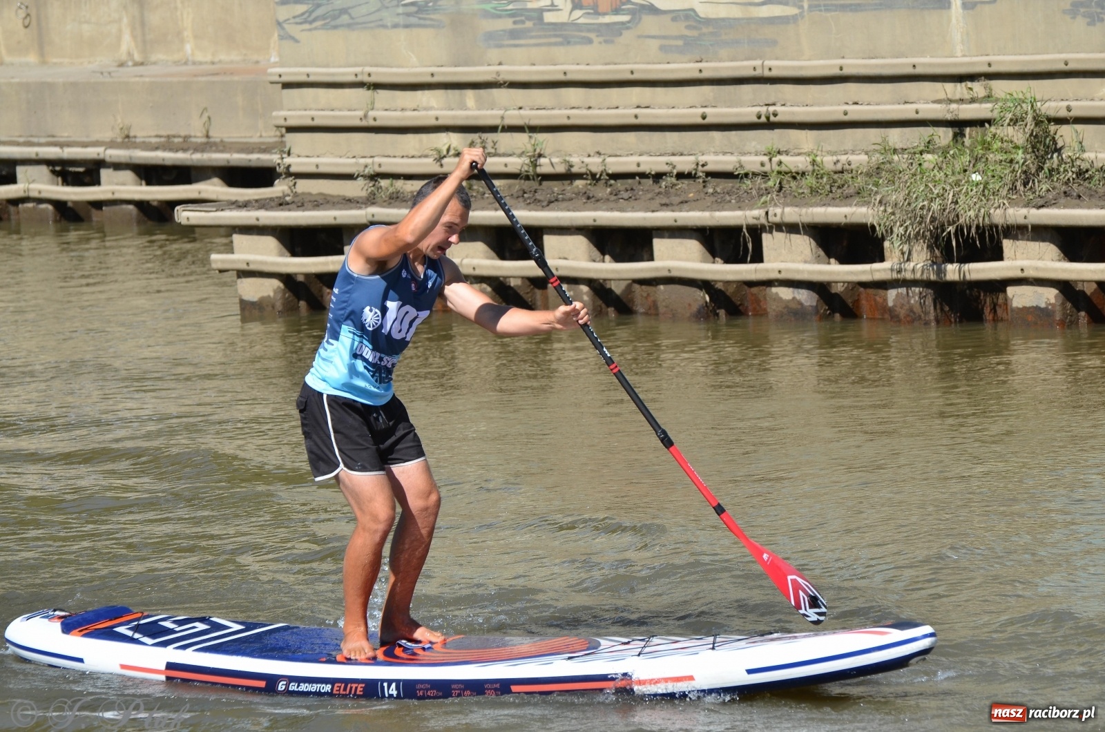 Zdjęcie w galerii na portalu naszraciborz.pl: ODRA SUP CUP - regaty na desce w Raciborzu  wiadomości z regionu
