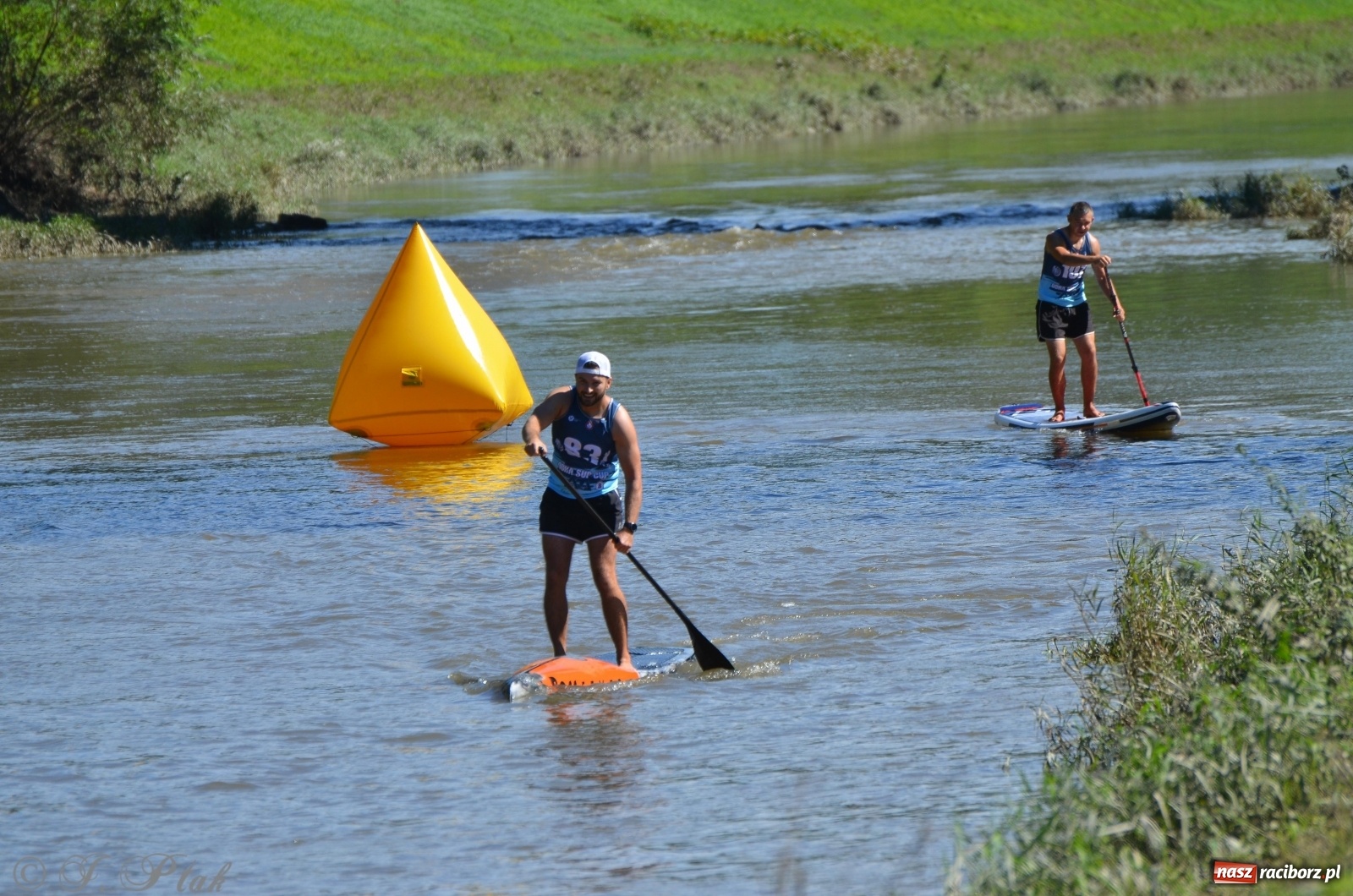Zdjęcie w galerii na portalu naszraciborz.pl: ODRA SUP CUP - regaty na desce w Raciborzu  wiadomości z regionu